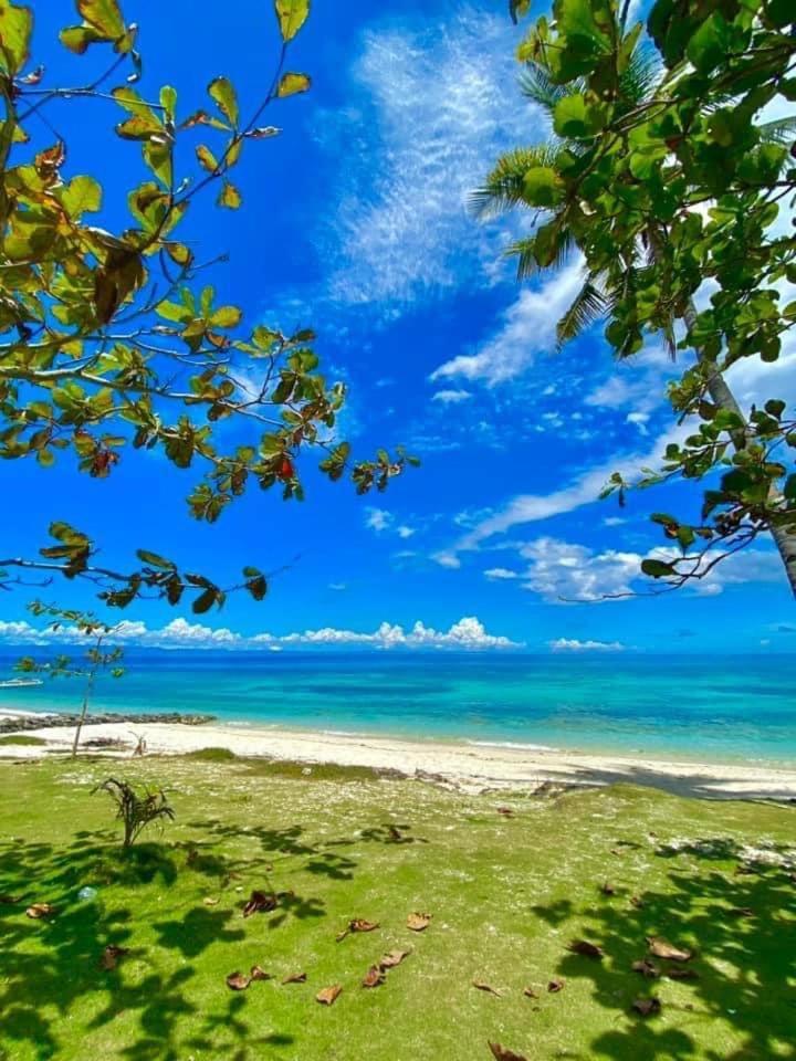 Camotes Palanas Himensulan