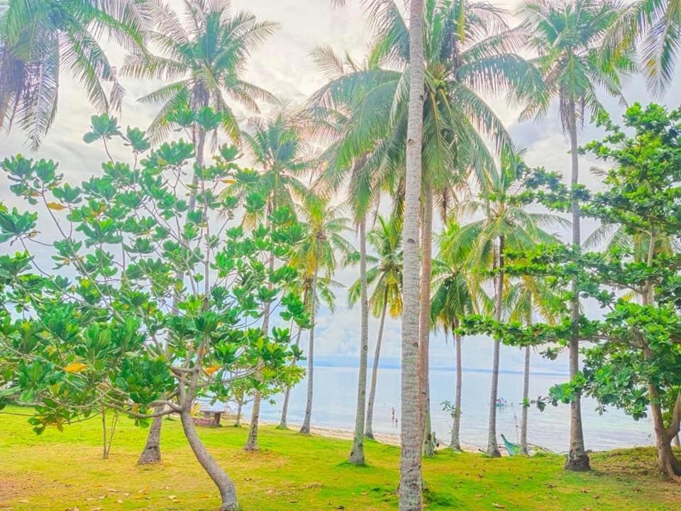 Homestay Camotes Palanas *