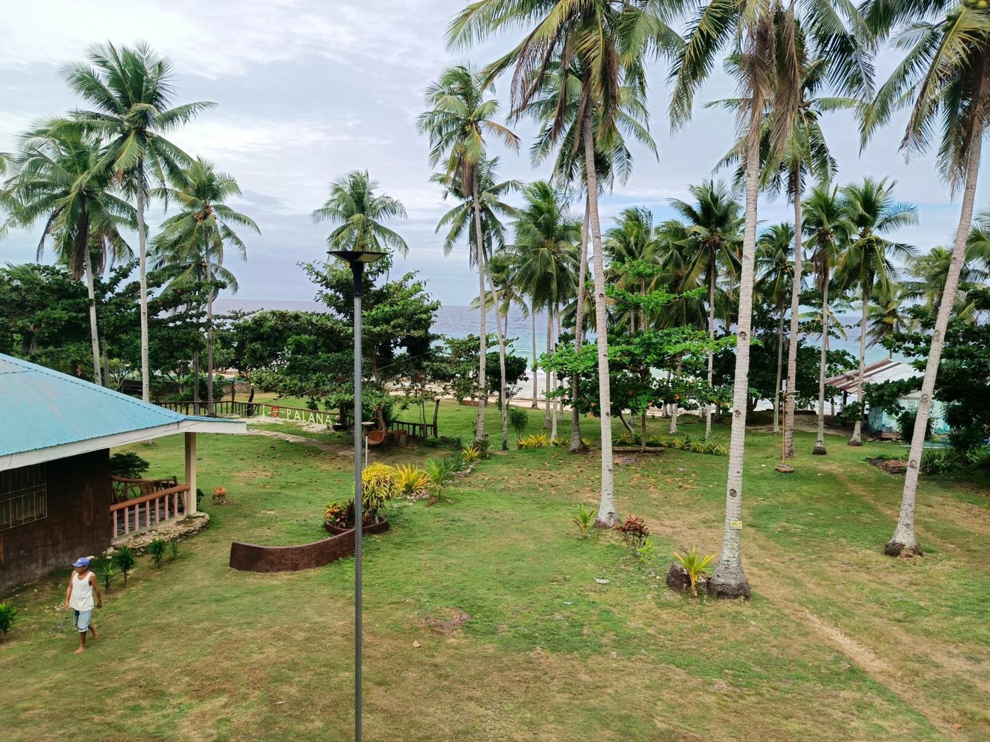 Camotes Palanas Himensulan