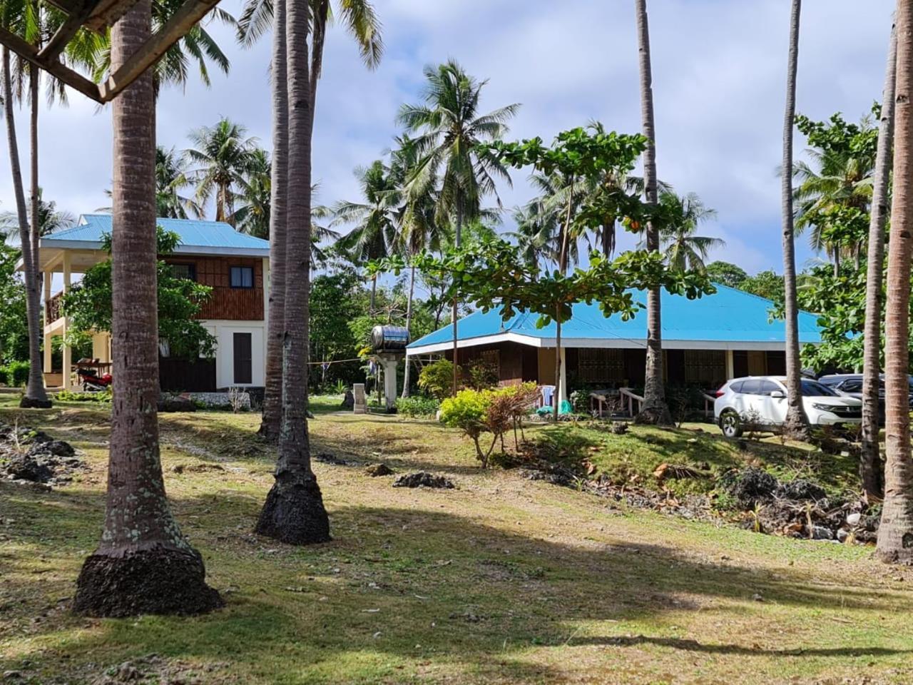 Camotes Palanas *