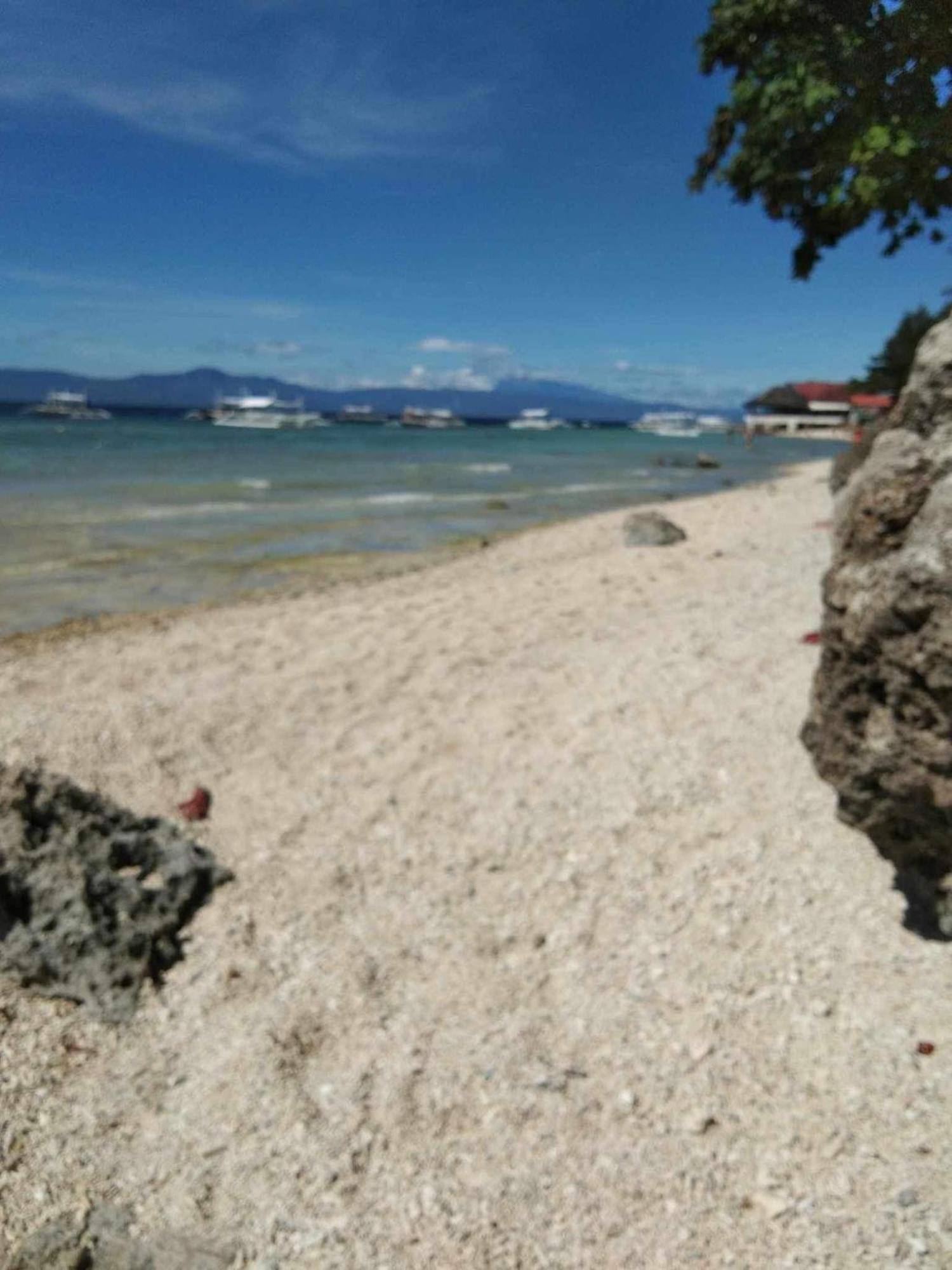 Resort Pescador View - Beachfront & By The Ocean Hostels & Restaurant Moalboal *