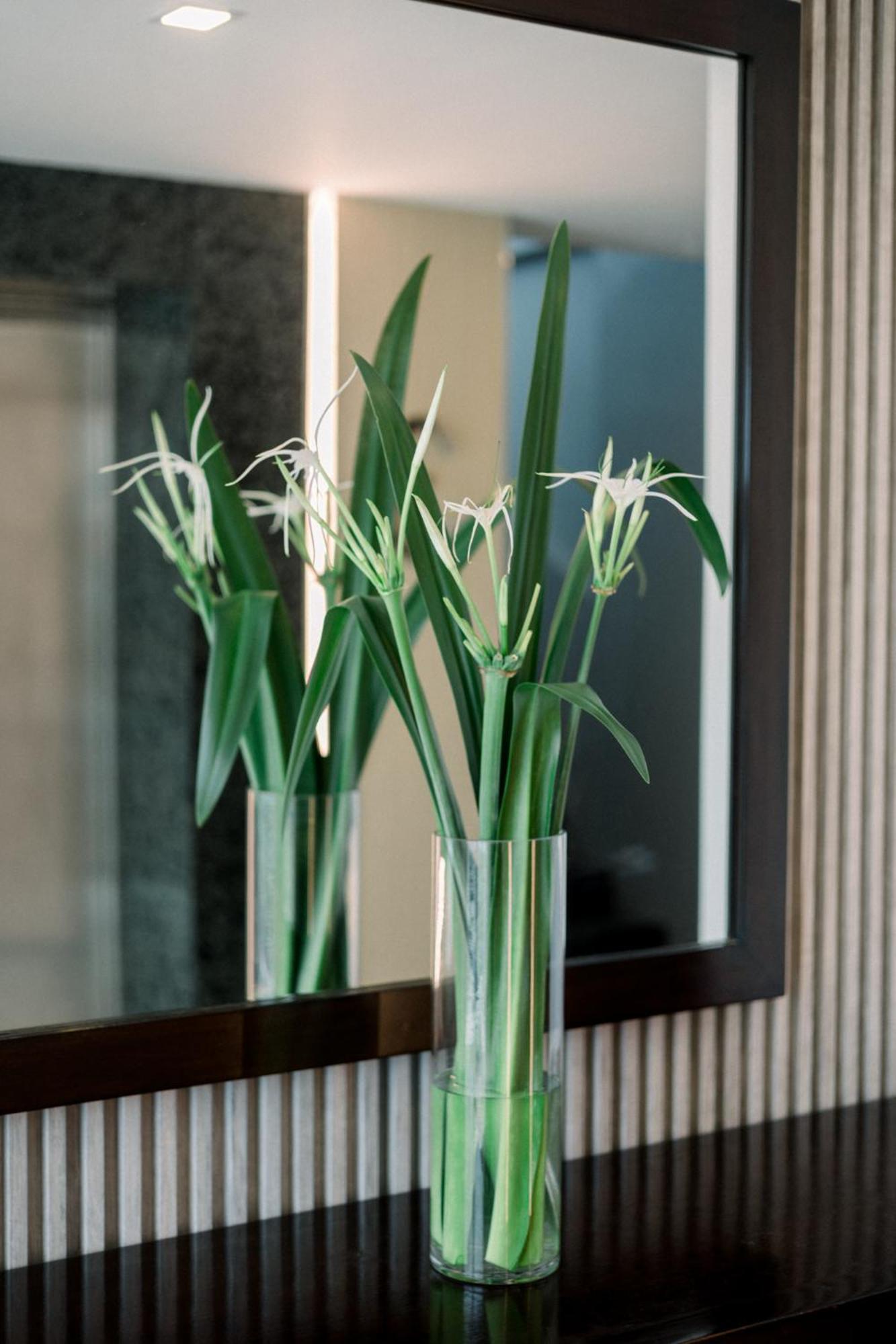 Hotel Allure & 3*