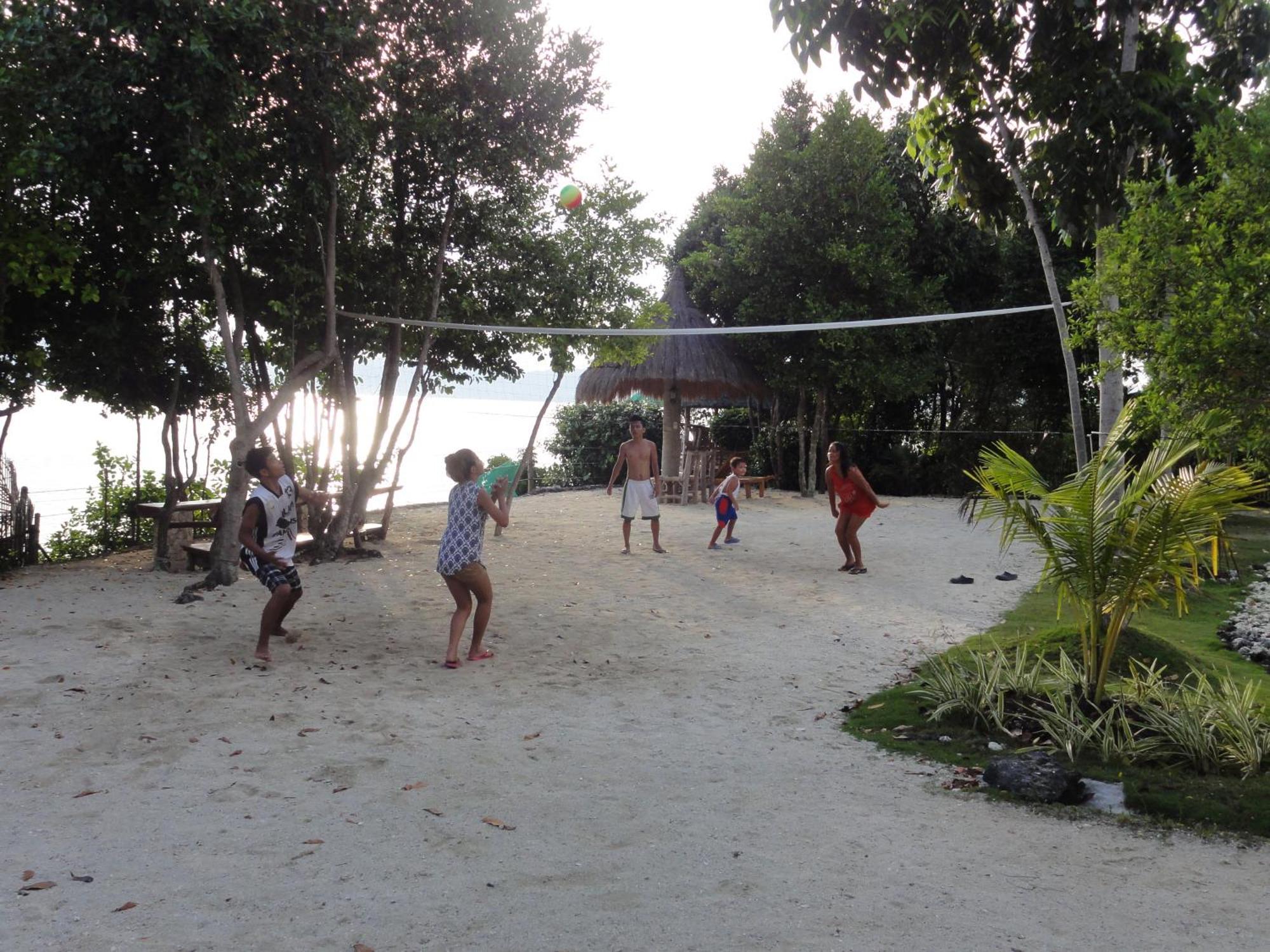 Sea Turtle House Guest house 3*