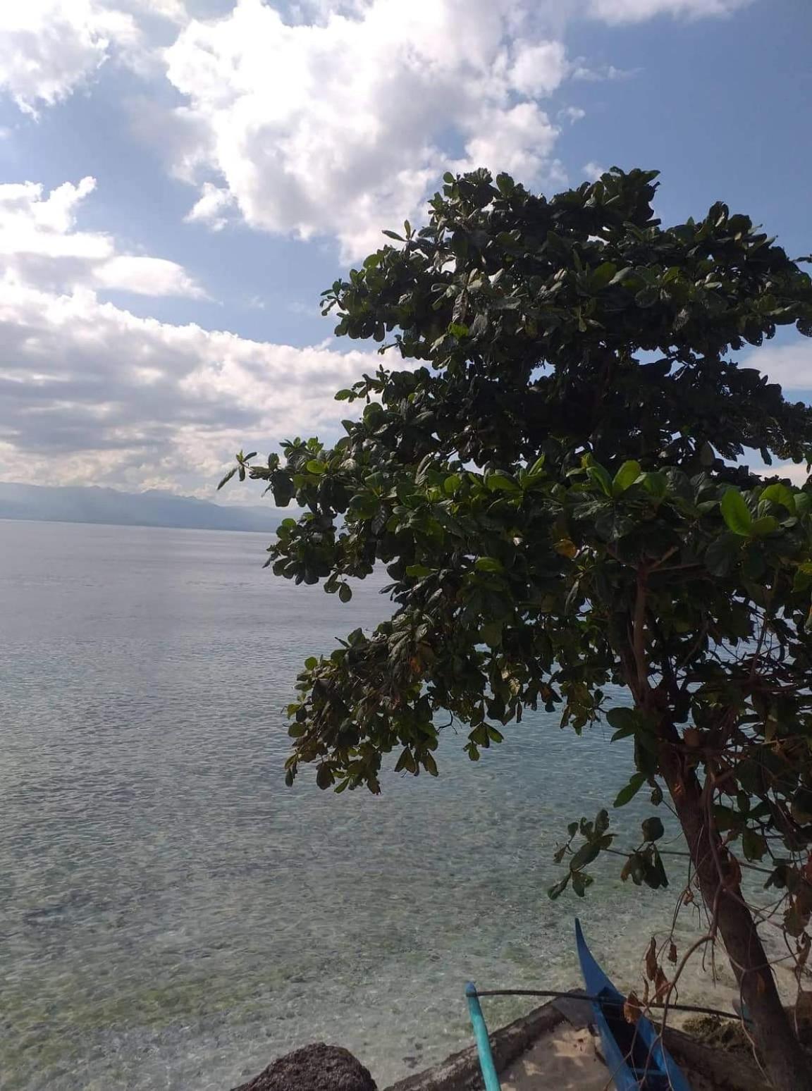 Resort Pescador View - Beachfront & By The Ocean Hostels & Restaurant Moalboal Moalboal
