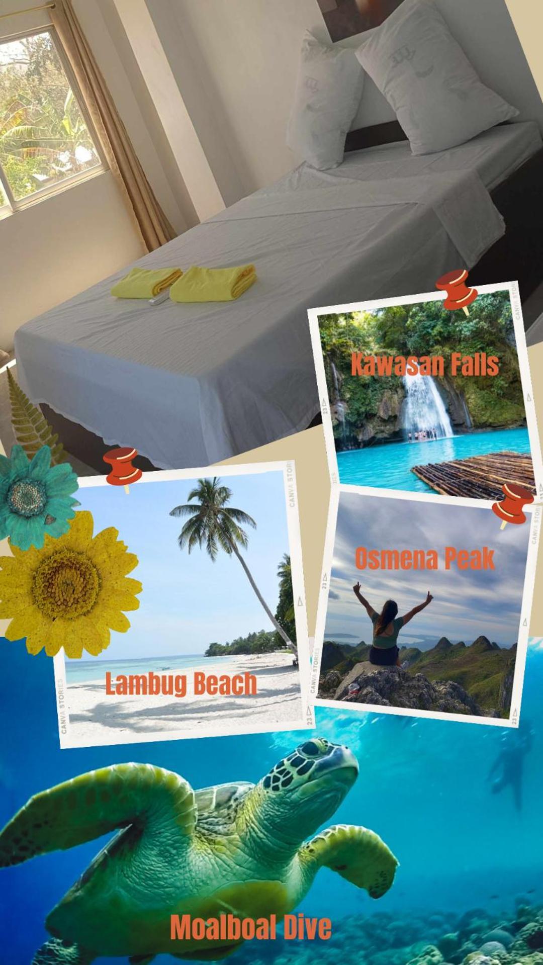 Warm Tourist Guest house *