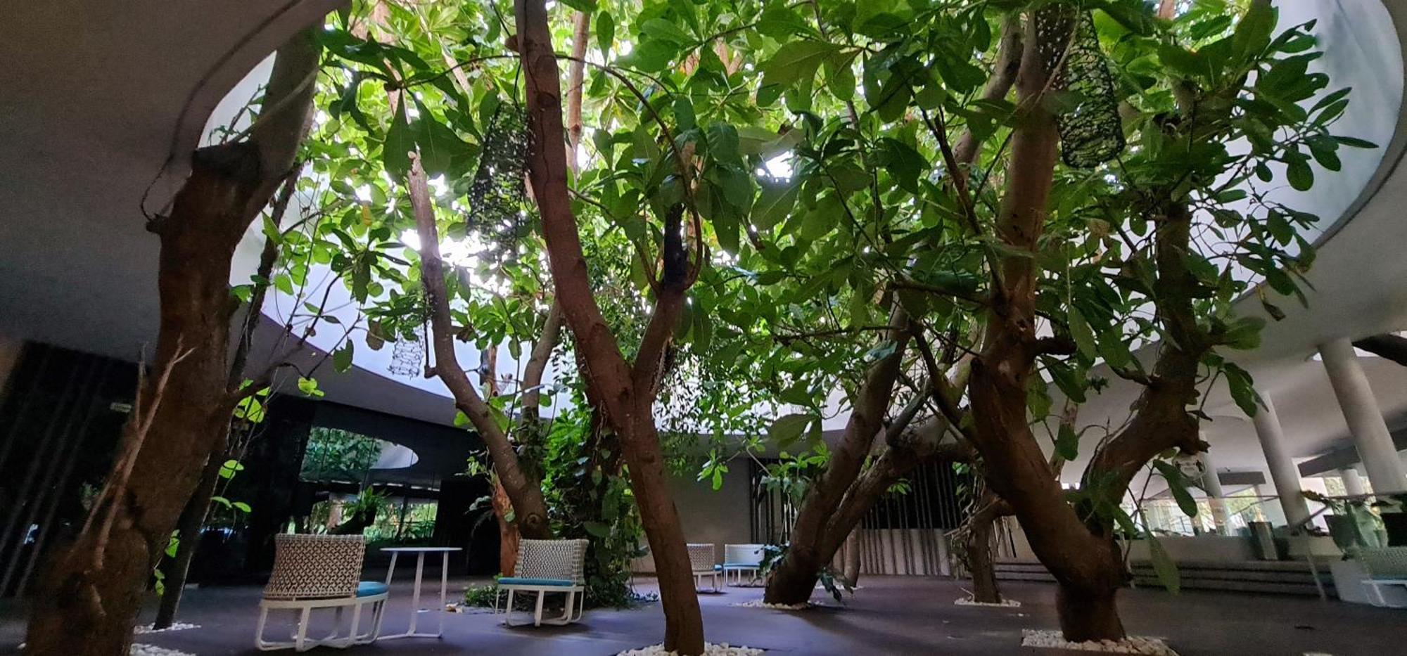Tambuli Tower C Unit 5d Apartment Lapu-Lapu City