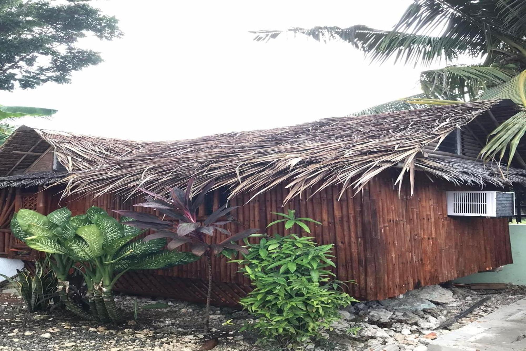 Albergue Avila's Moalboal Near *