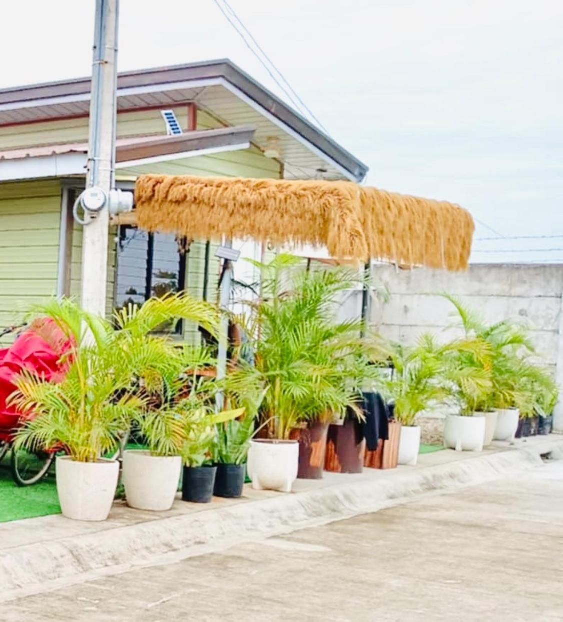 S&e-3 Tiny - Olango Island * Lapu-Lapu City