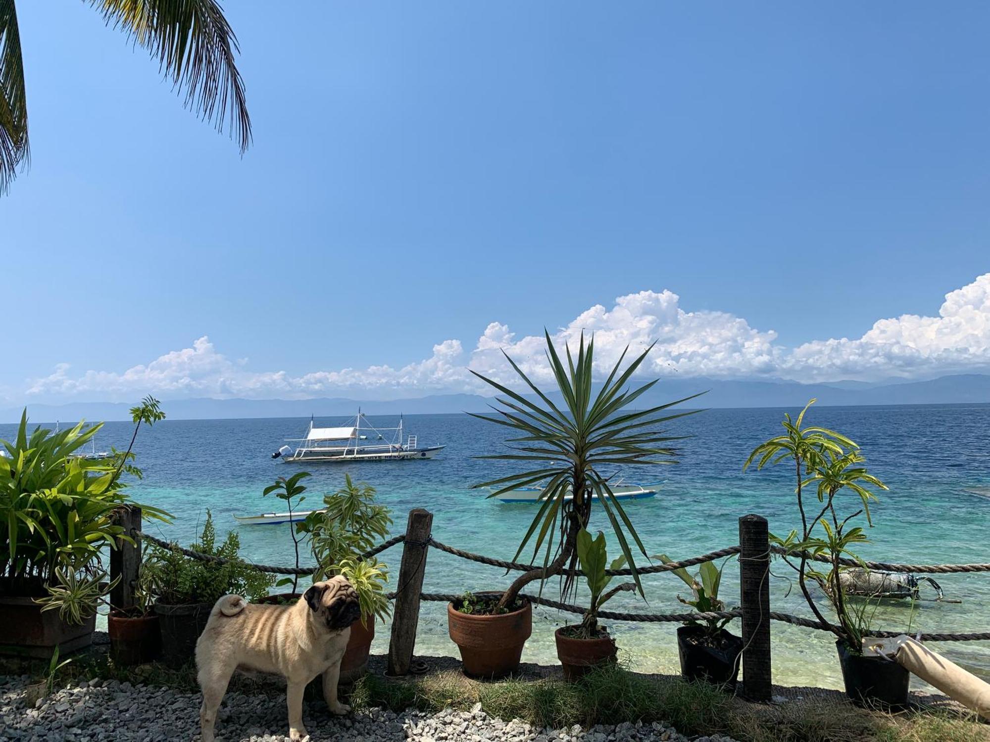 Bahay bakasyunan Beachfront In Panagsama