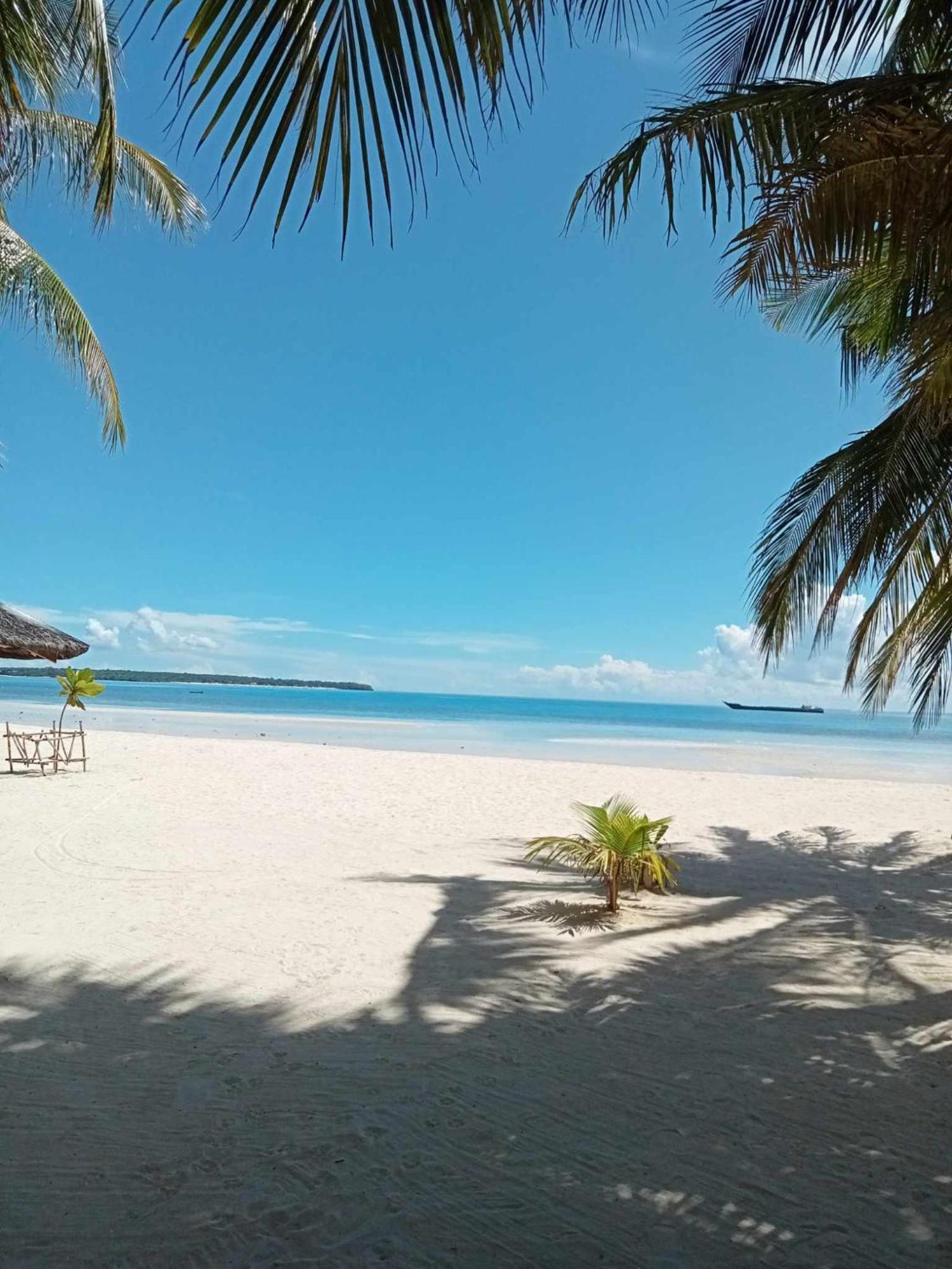 Lodge Skott's Comfy Santa Fe (Cebu)