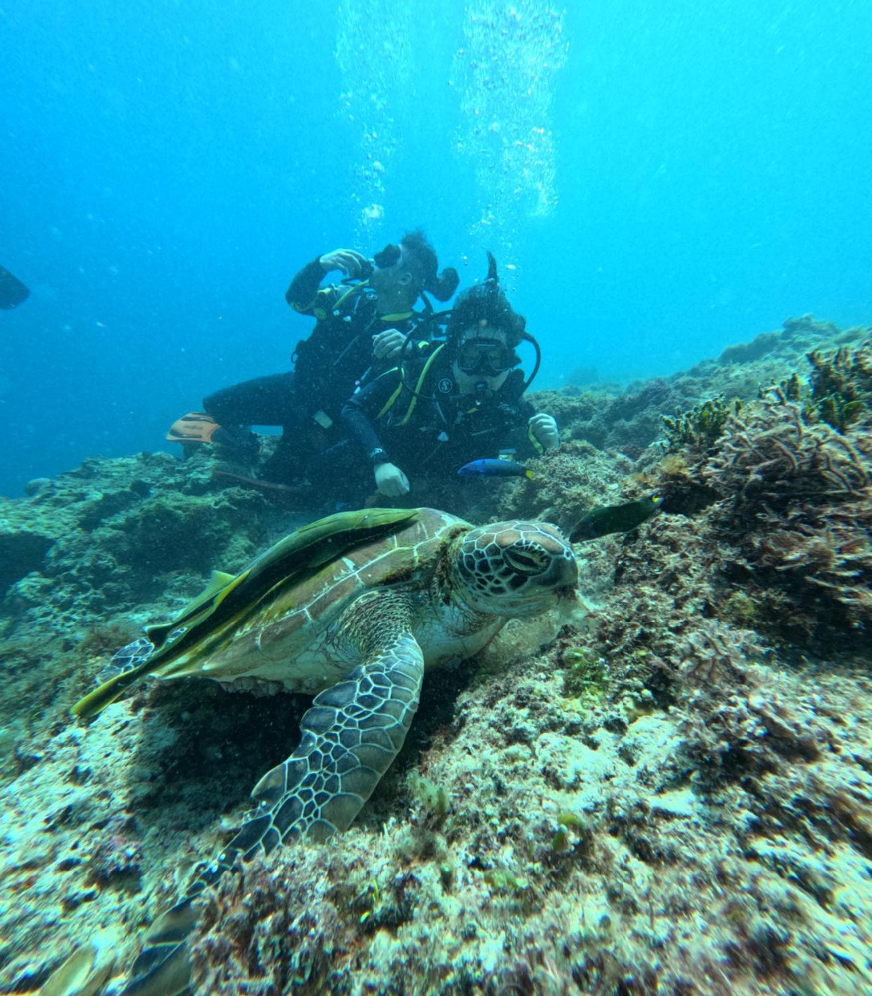 Cnc Dive At Cebu 2*