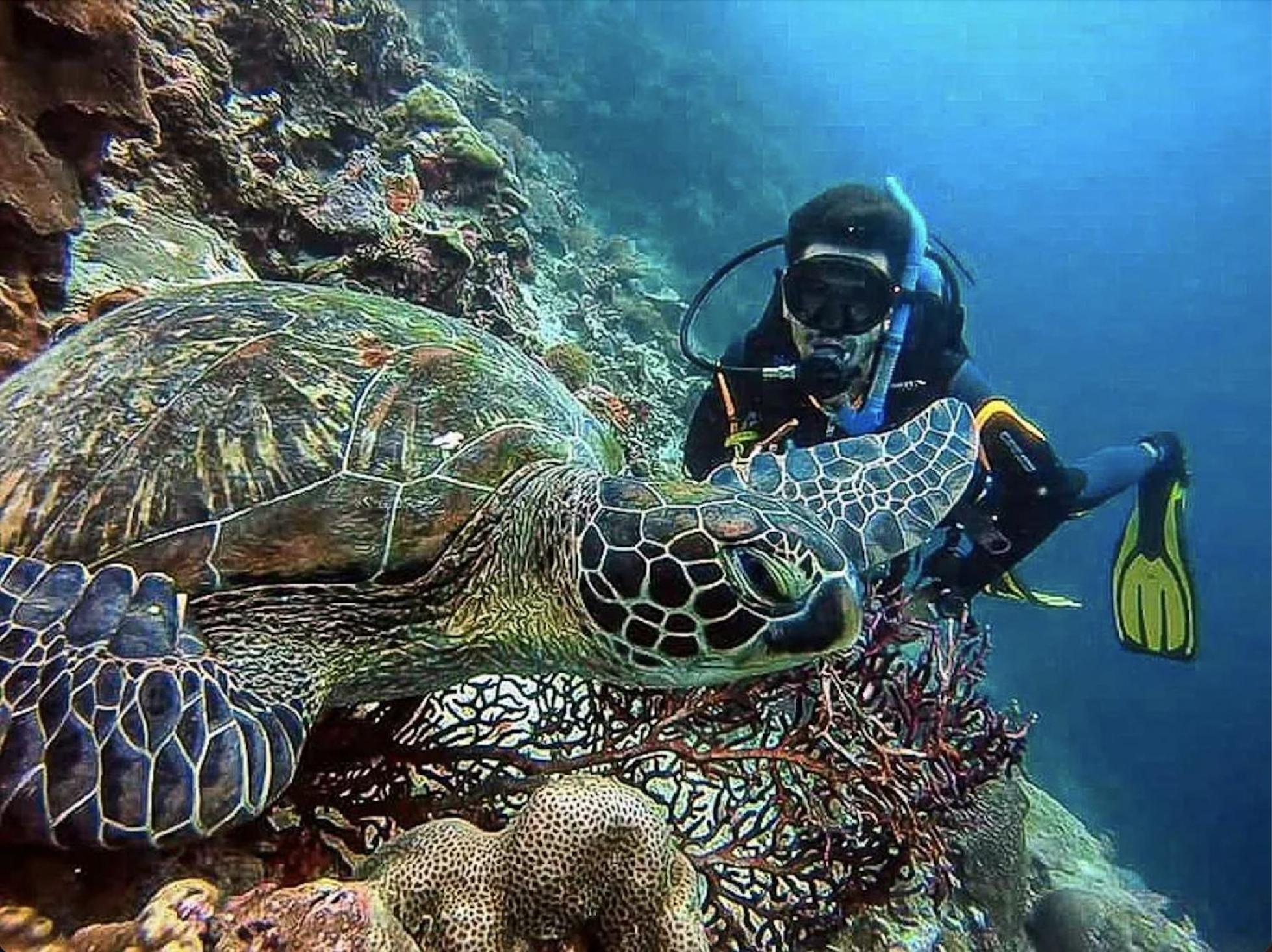 Cnc Dive At Cebu 2*