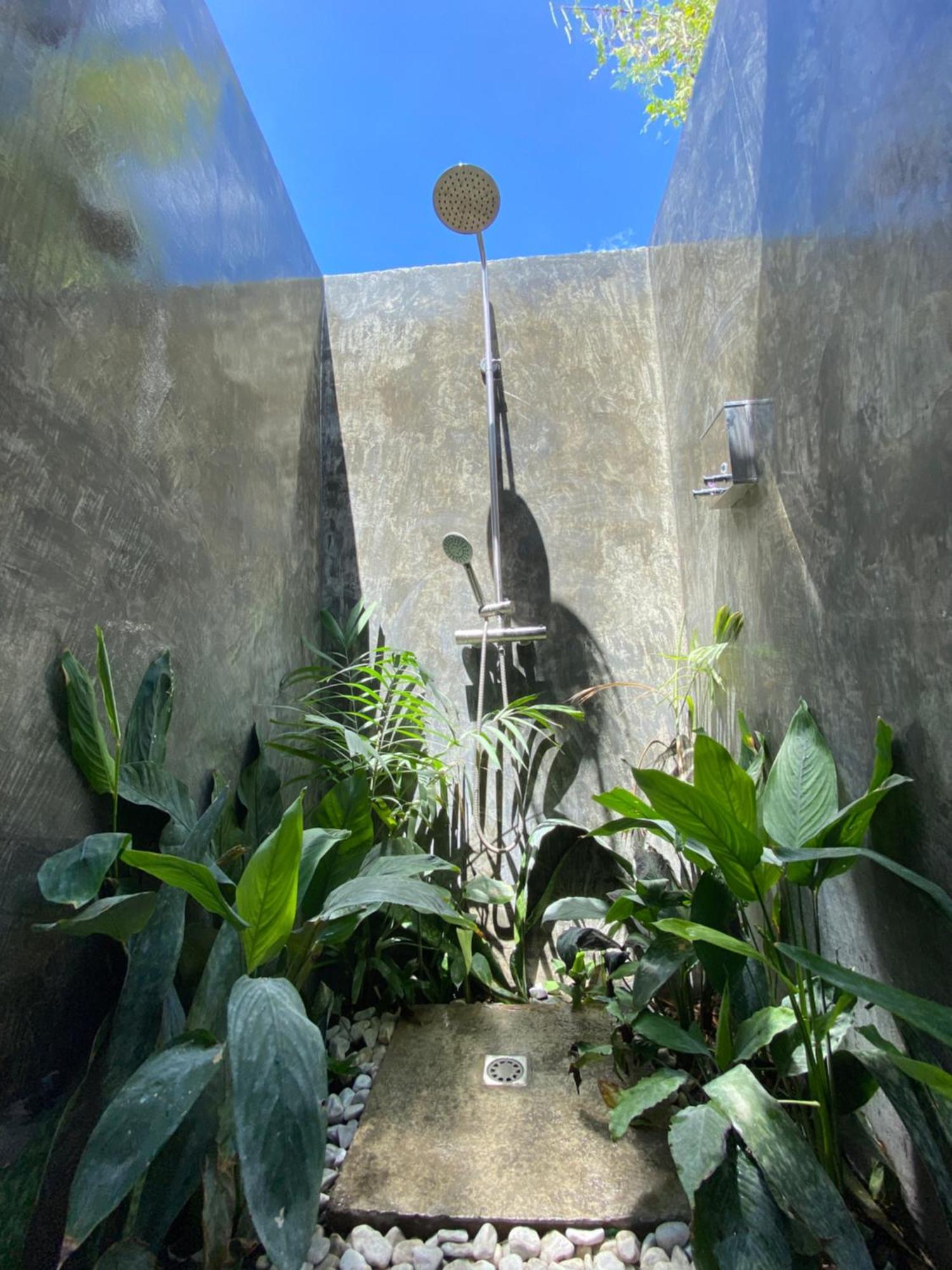 Wild Monkeys Hostel