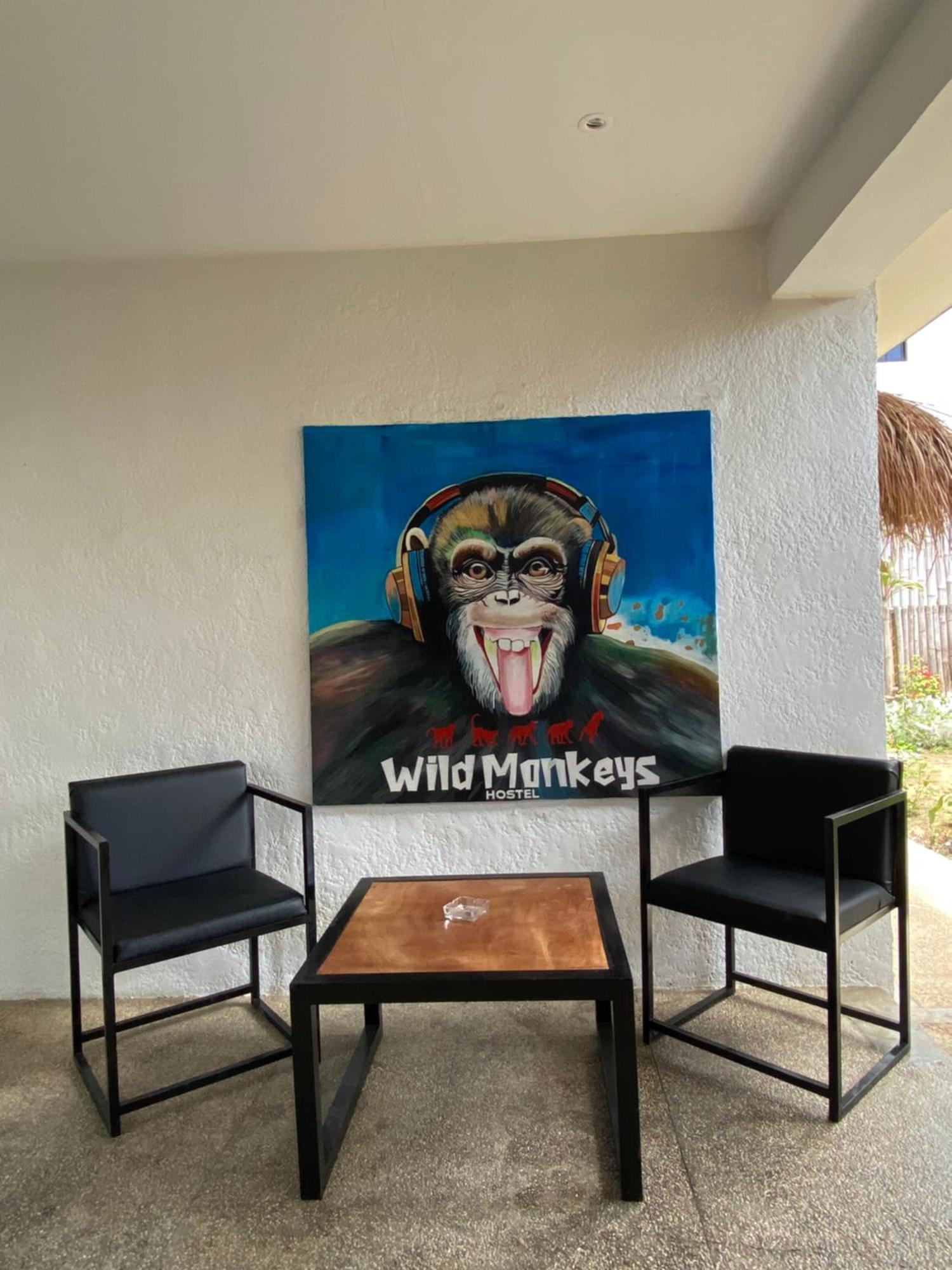 Wild Monkeys *