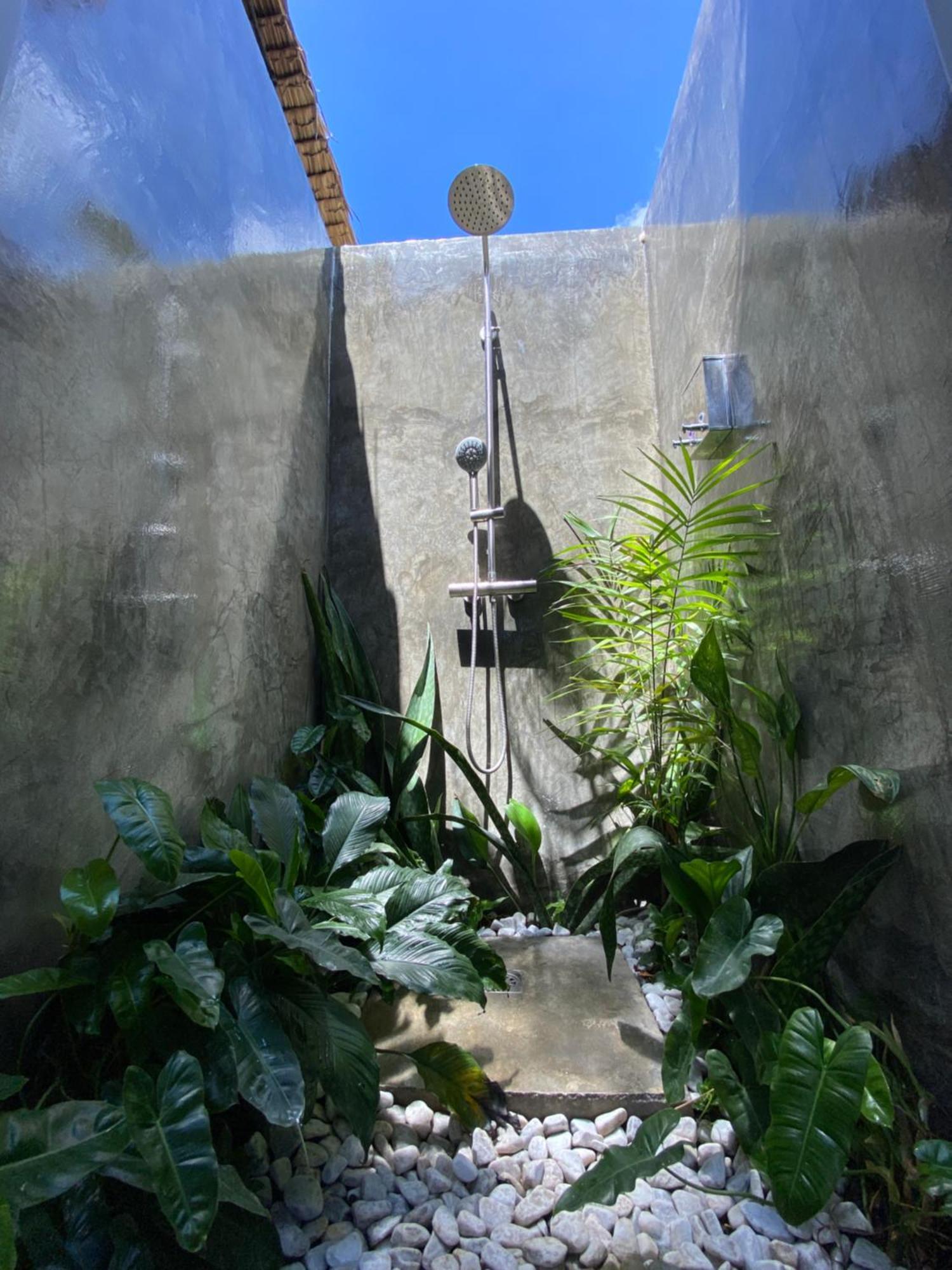 Wild Monkeys Hostel