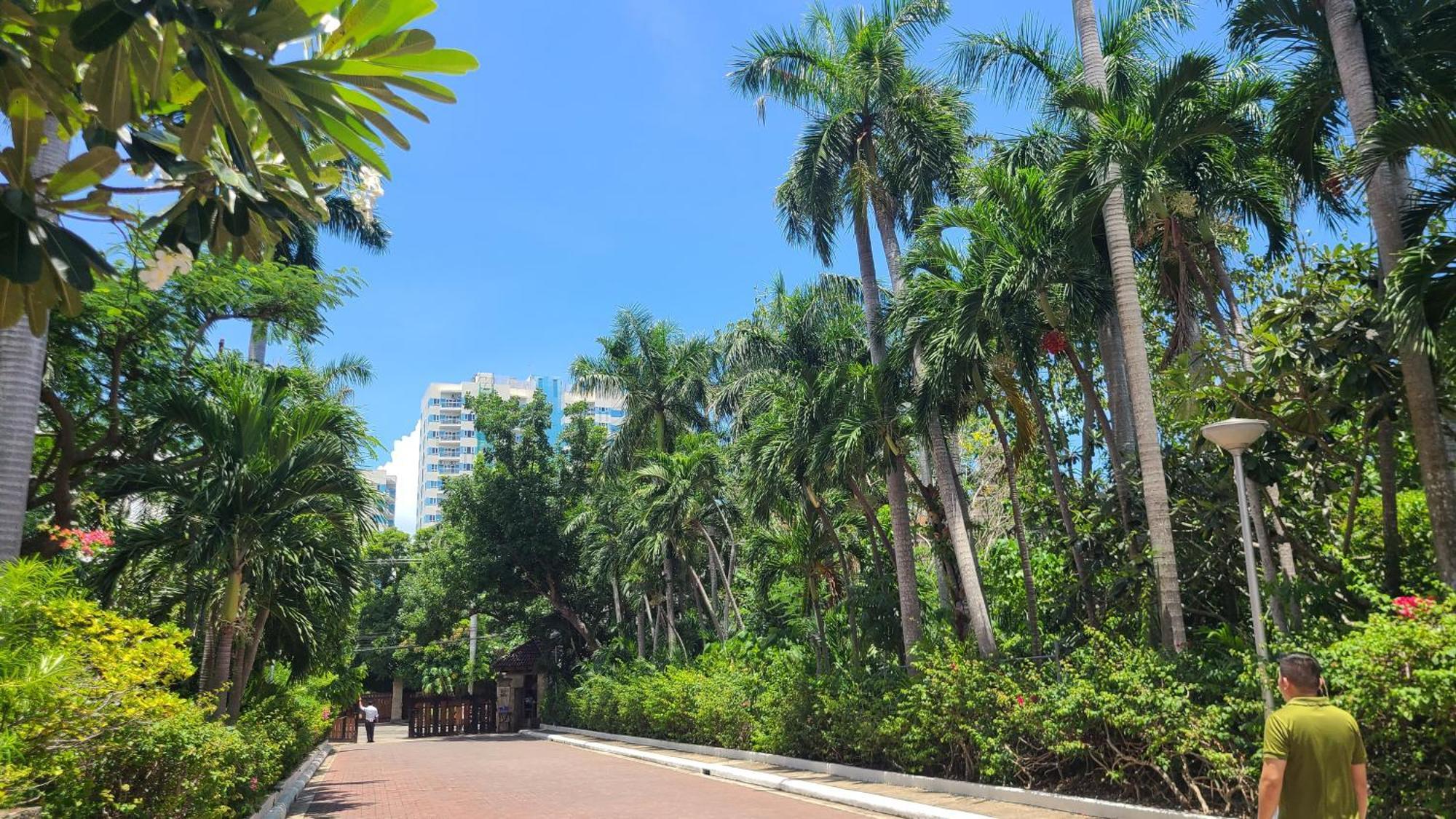 Coralpoint Gardens & Residences Resort Lapu-Lapu City