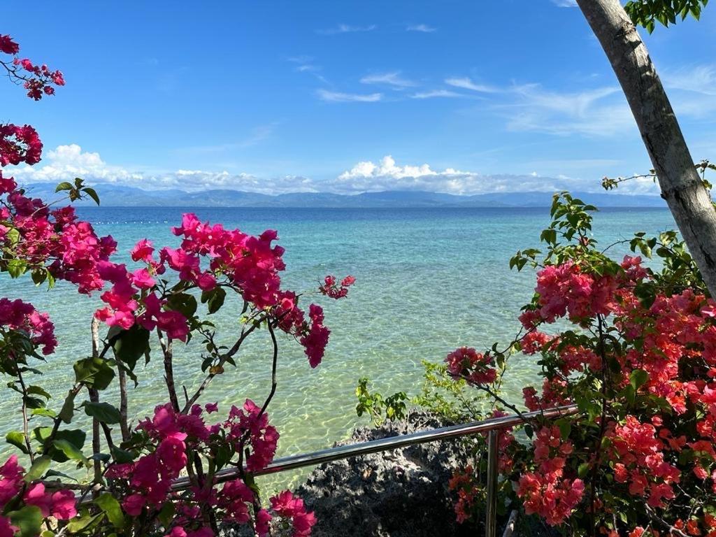 Nature Seaview *