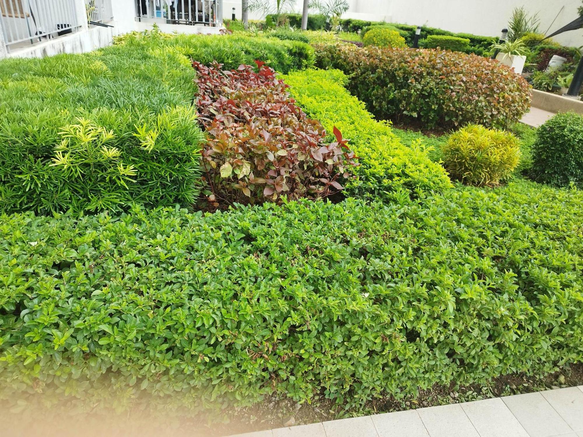 Apartment It Park 1br 22nd Floor Near Ayala And Sugbo Mercado *
