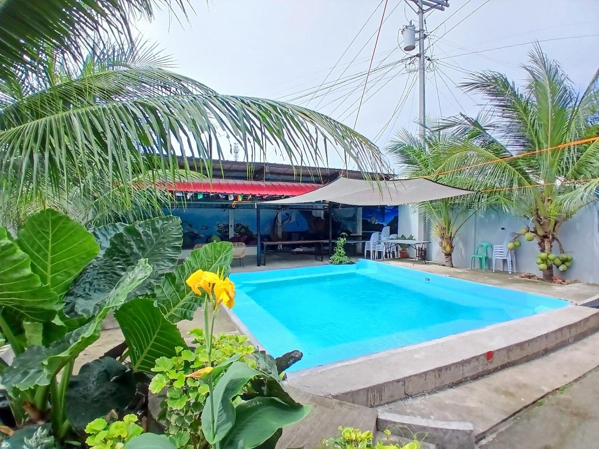 Casa de hóspedes Ananas 4*
