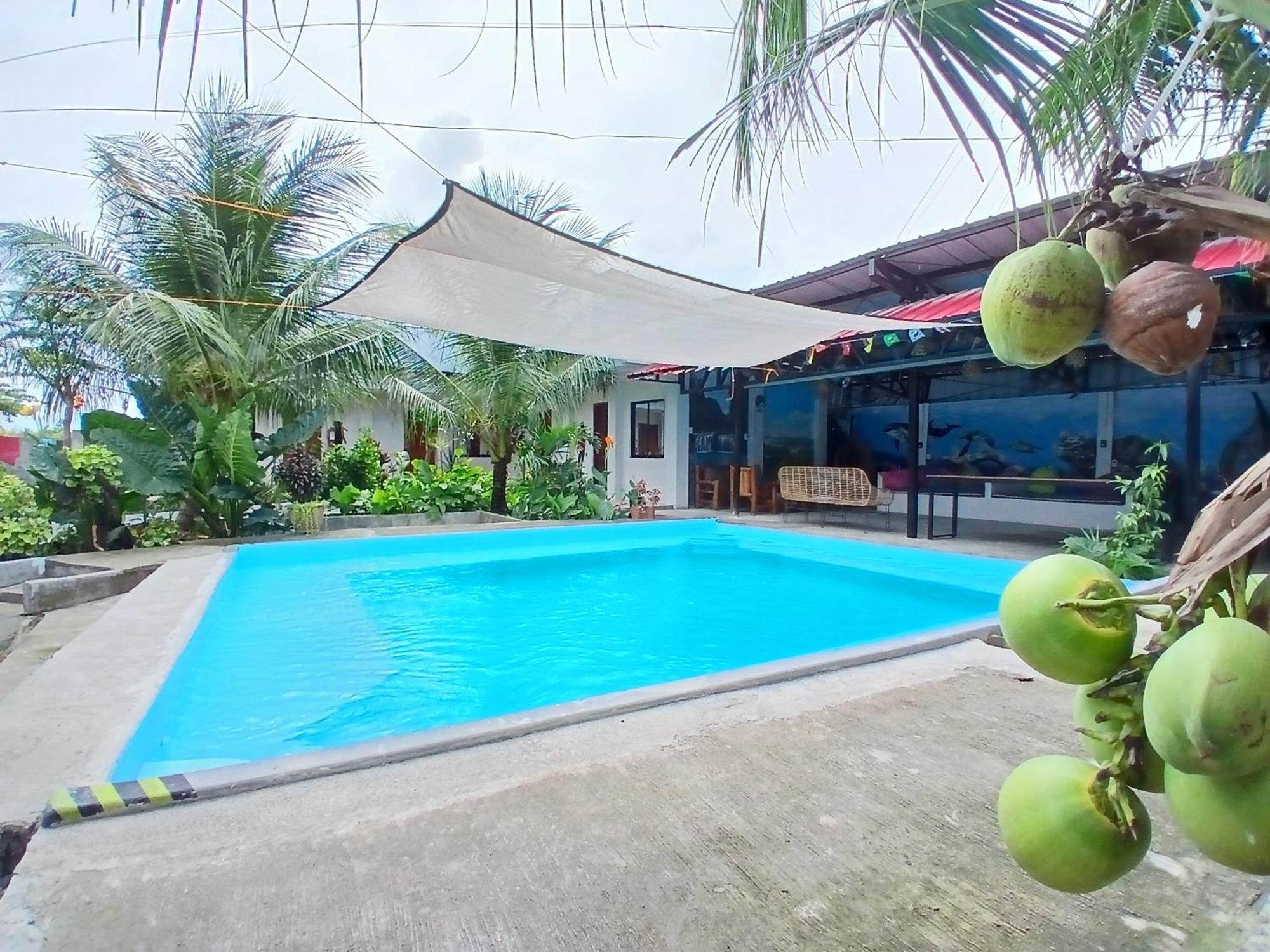 Ananas Casa de hóspedes