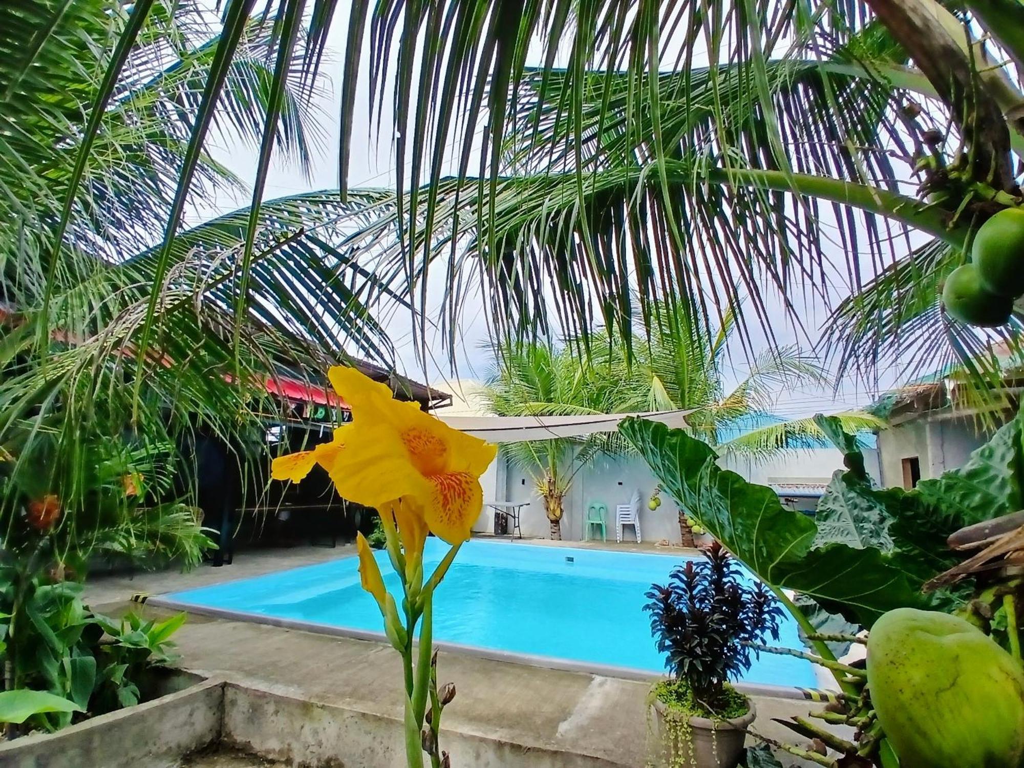 Ananas 4* Moalboal