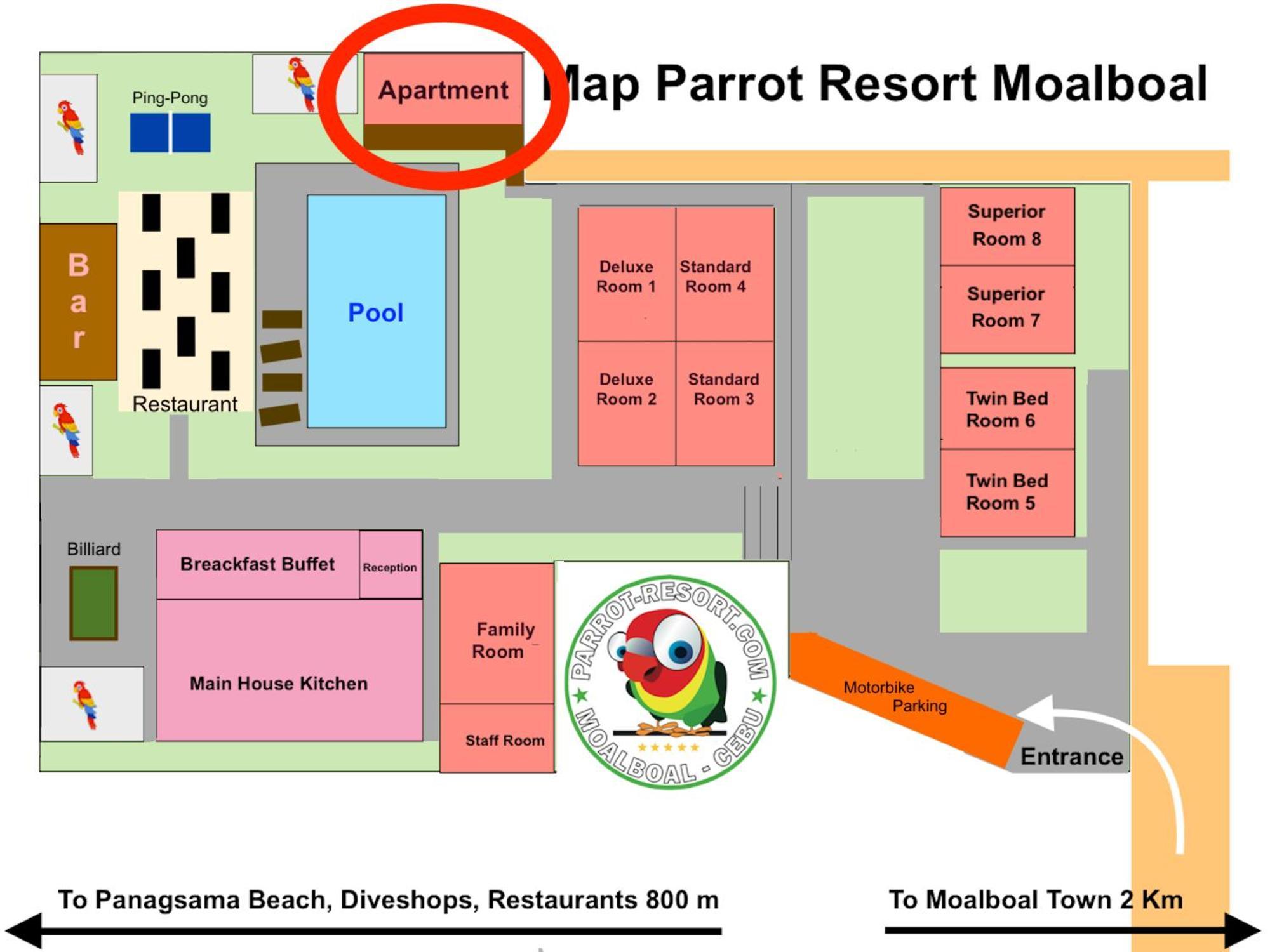 Parrot Moalboal