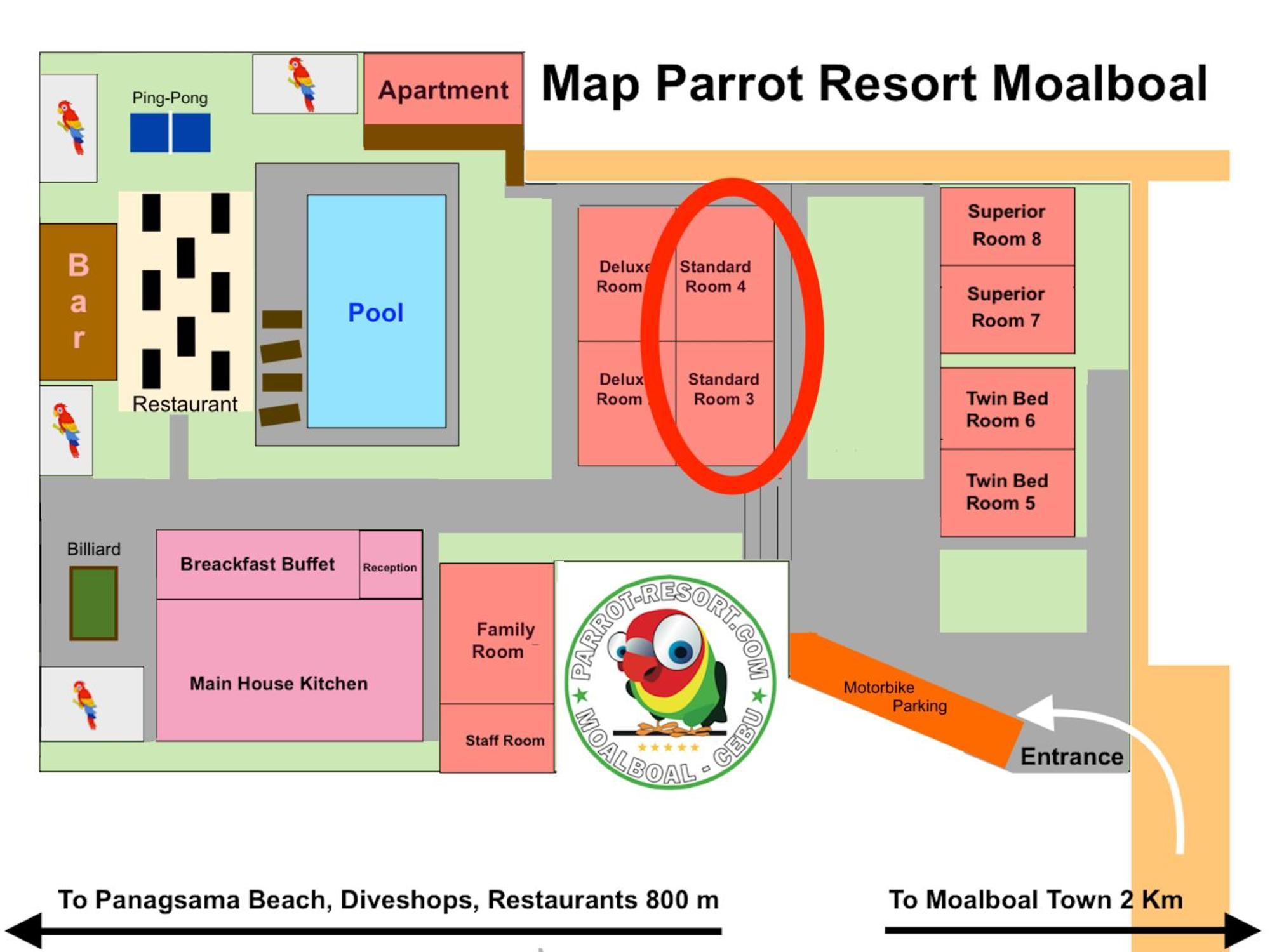 Parrot