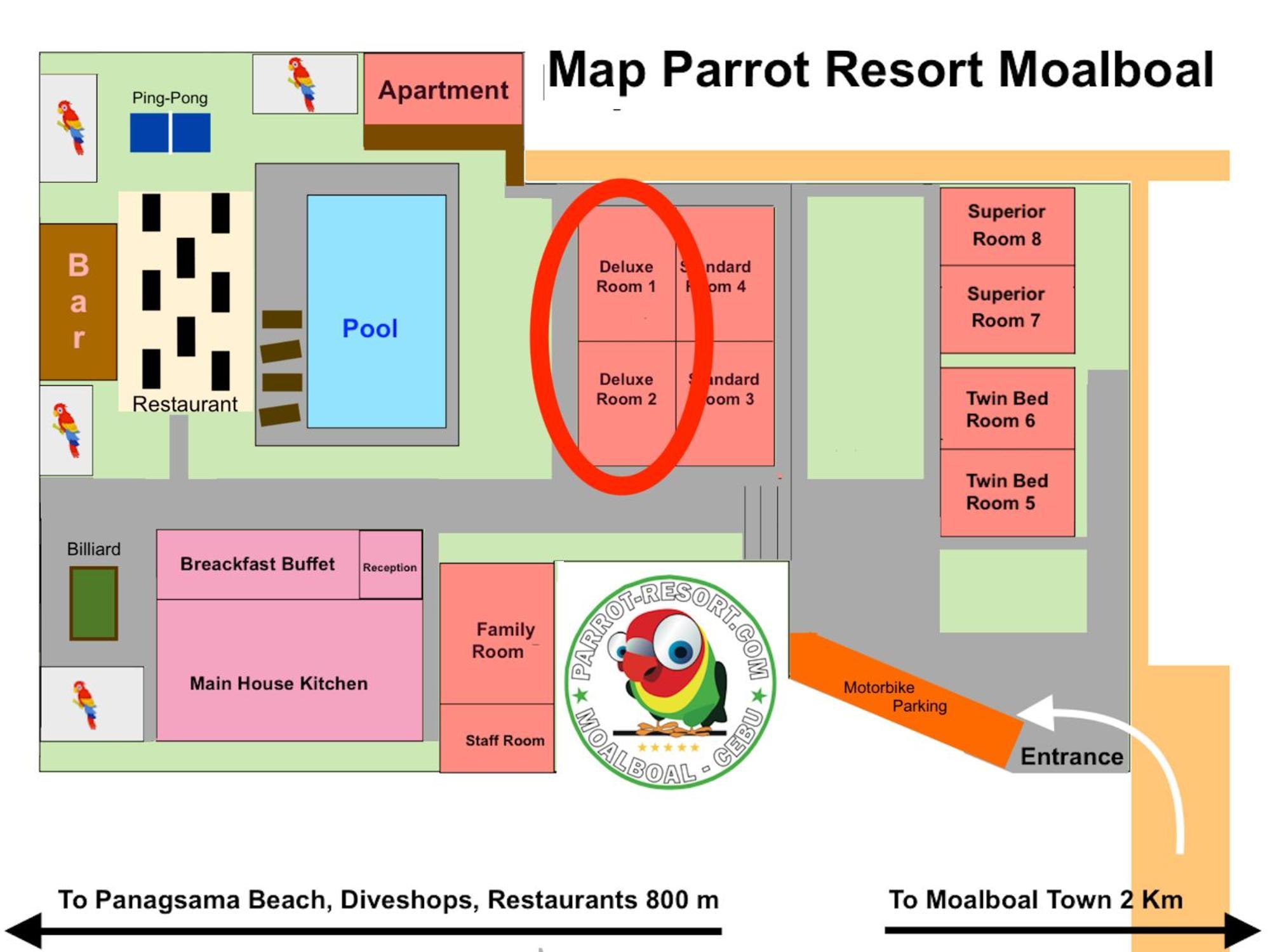 Resort Parrot