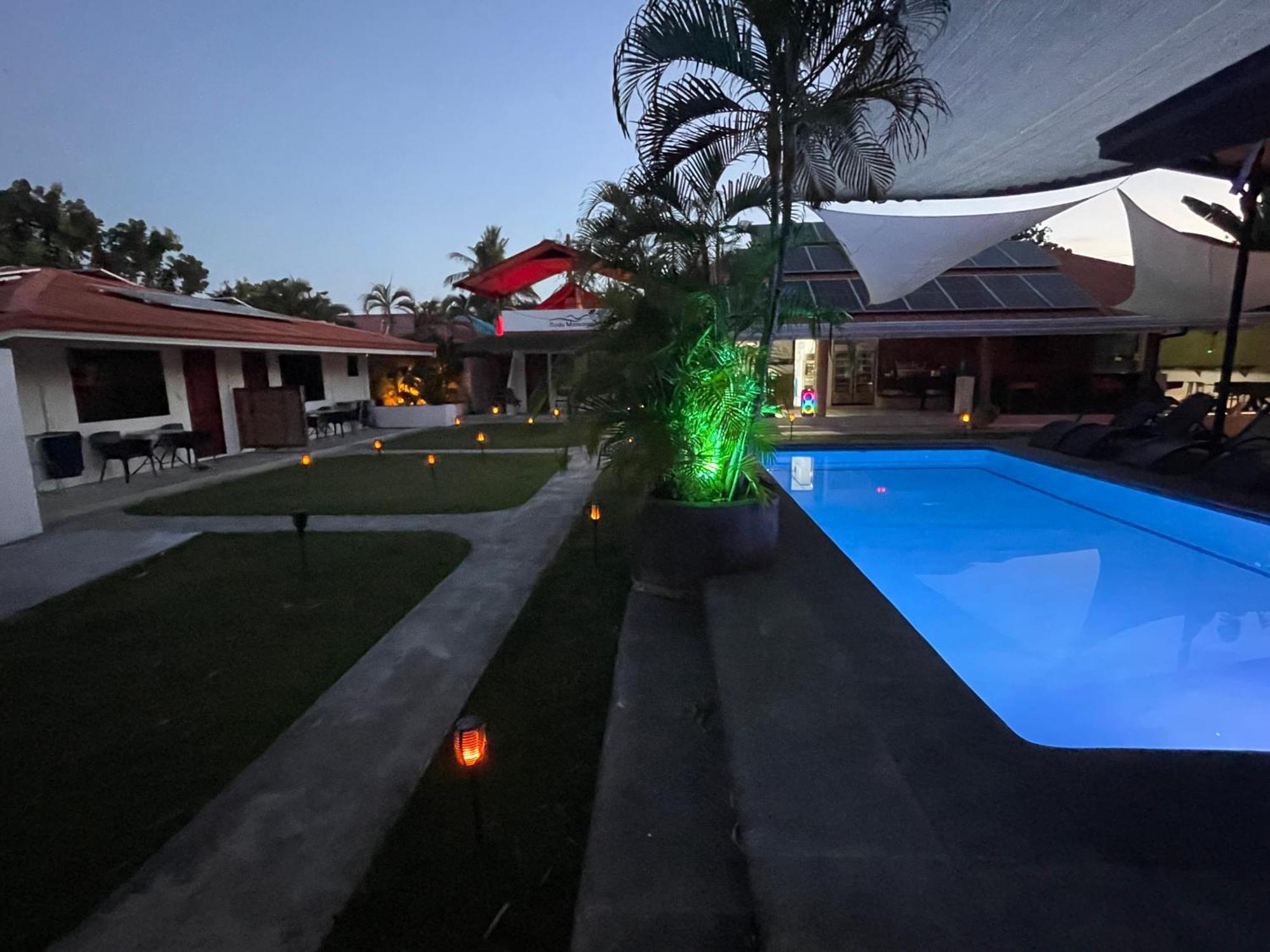 Resort Parrot