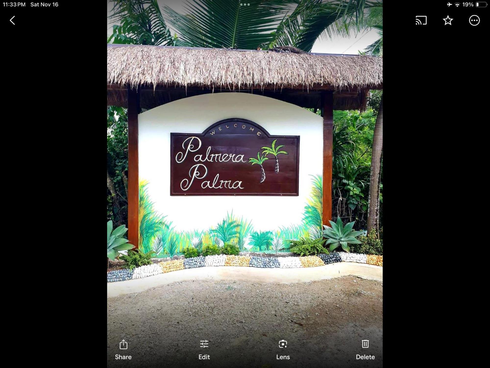 Palmera Palma Floor Moalboal