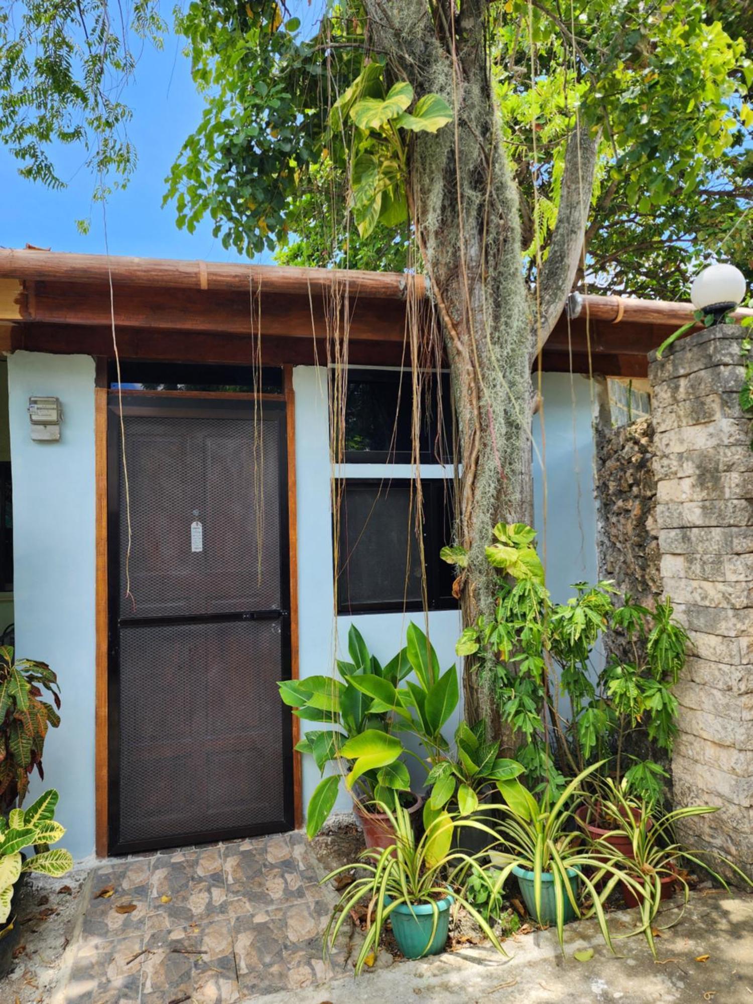 Mj's Residences Garden Guest house 3*