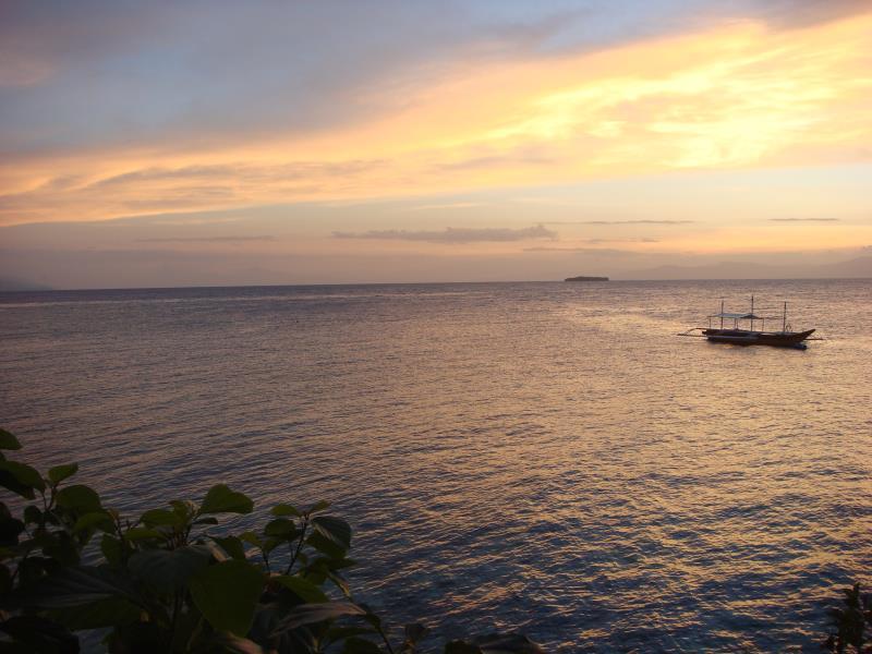 Hotel Anthonys Moalboal