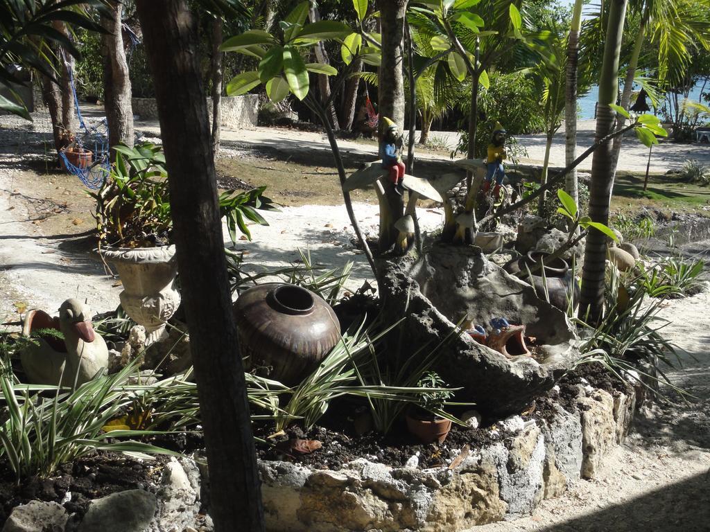 Guest house Sea Turtle House 3*