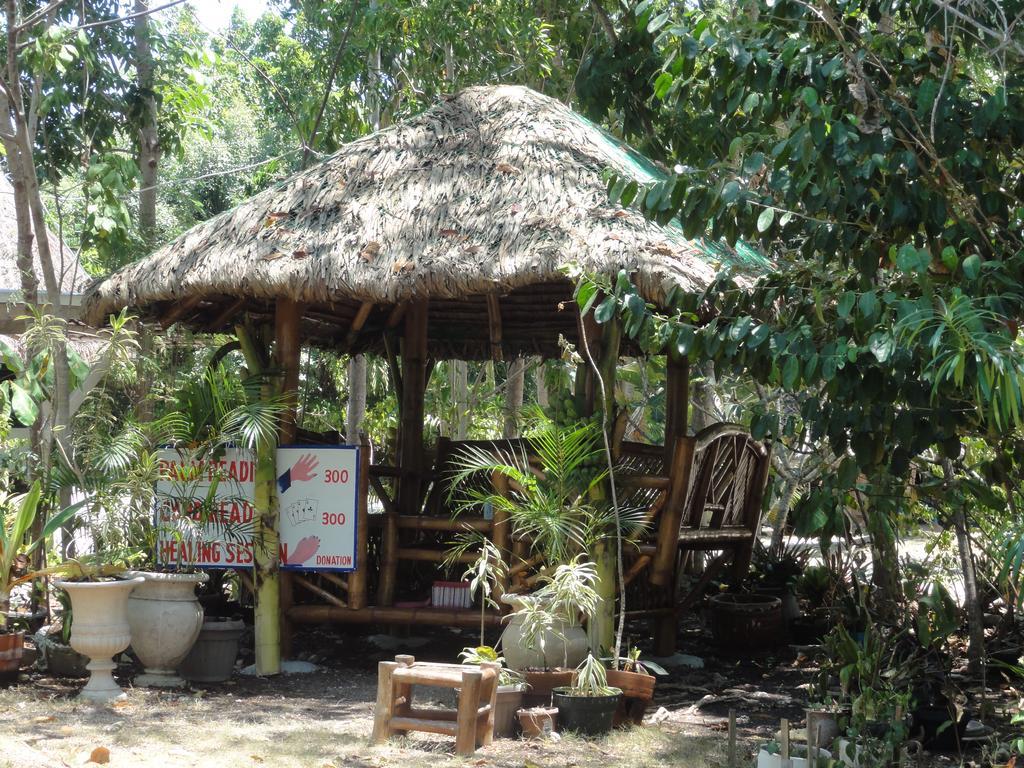 Sea Turtle House