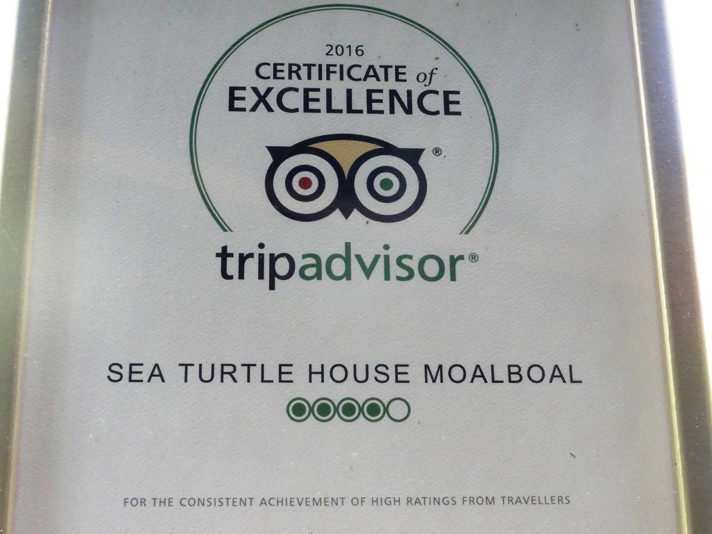Guest house Sea Turtle House 3*