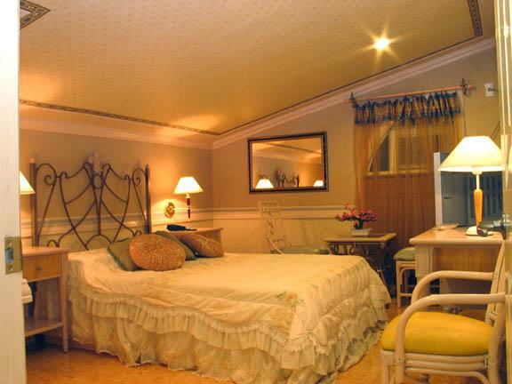 bahay-panuluyan Europa Mansionette