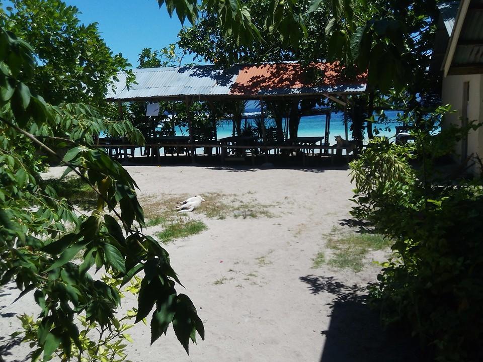 Hostel Magic's Place Moalboal