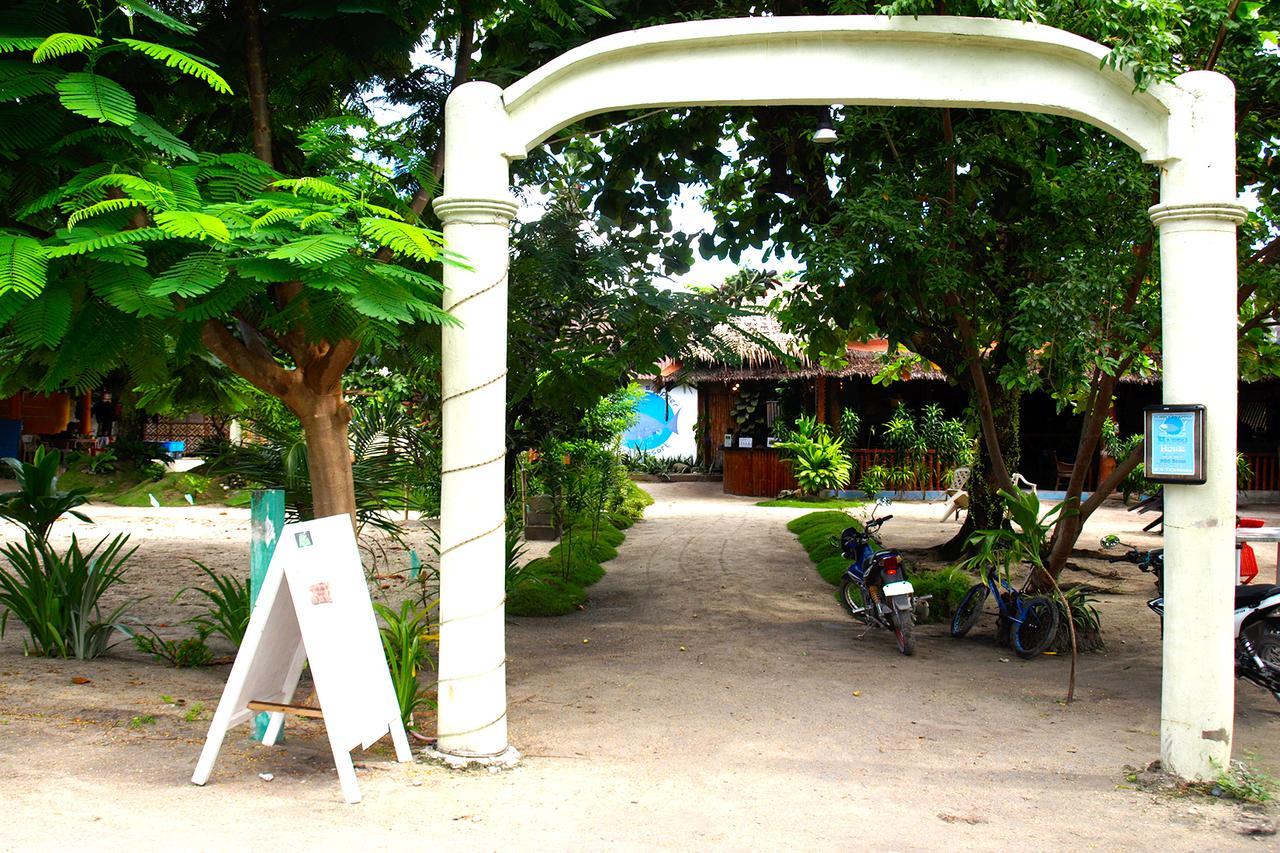 The Shark's Tail Dive Center