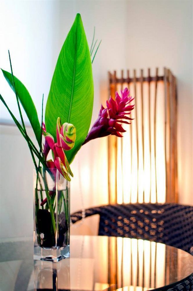 Natures Garden Park And 3* Lapu-Lapu City