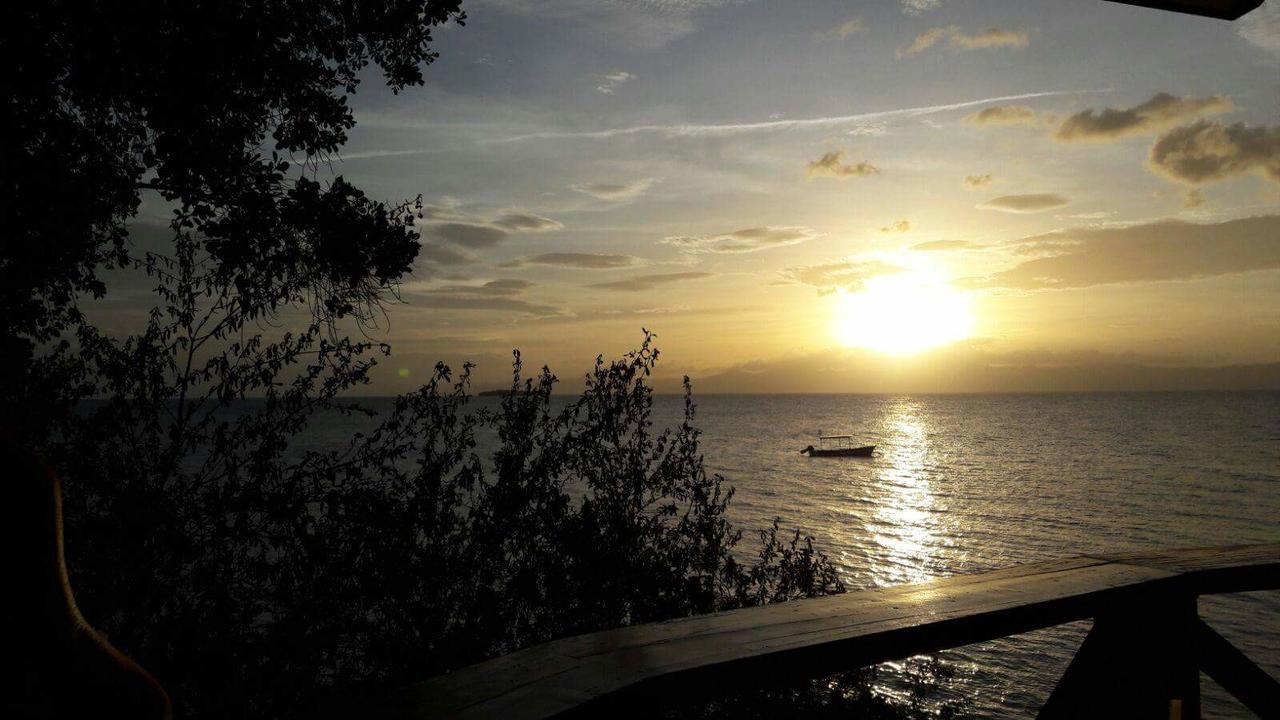 Pescador View - Beachfront & By The Ocean Hostels & Restaurant Moalboal * Moalboal