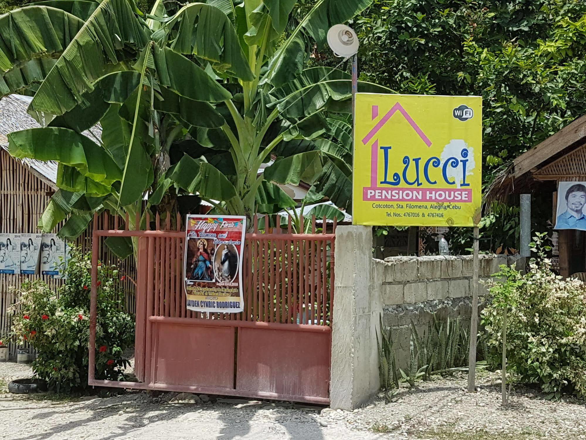 Lucci House 2*