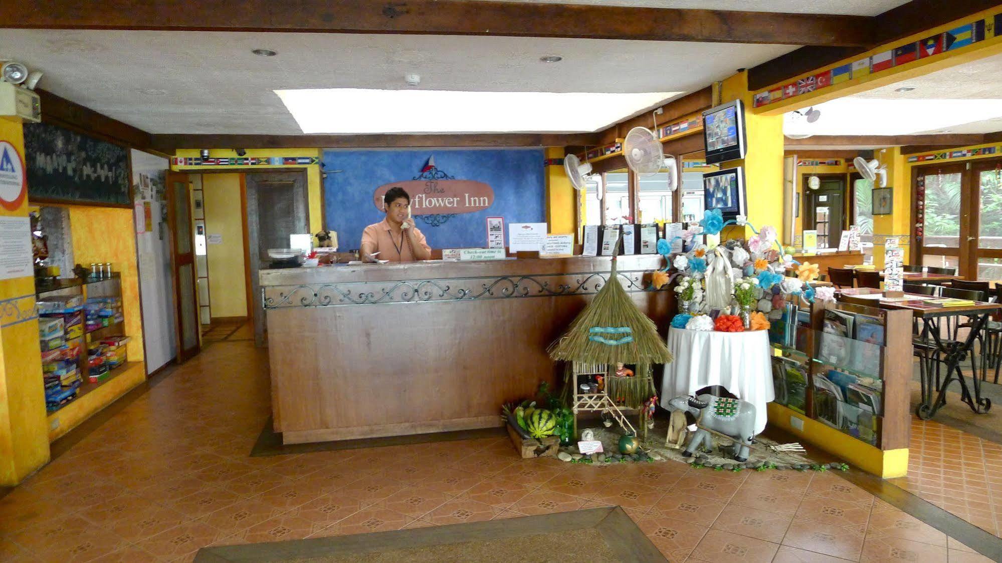 The Mayflower bahay-panuluyan Cebu
