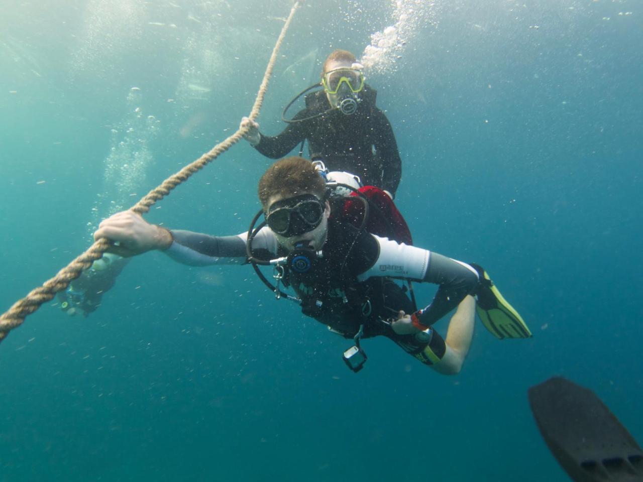 Resort The Shark's Tail Dive Center 3*