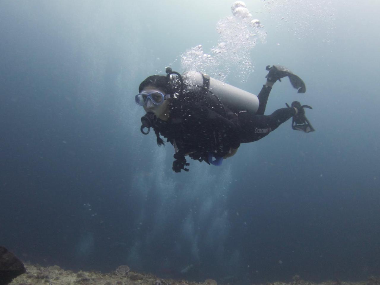 The Shark's Tail Dive Center 3*