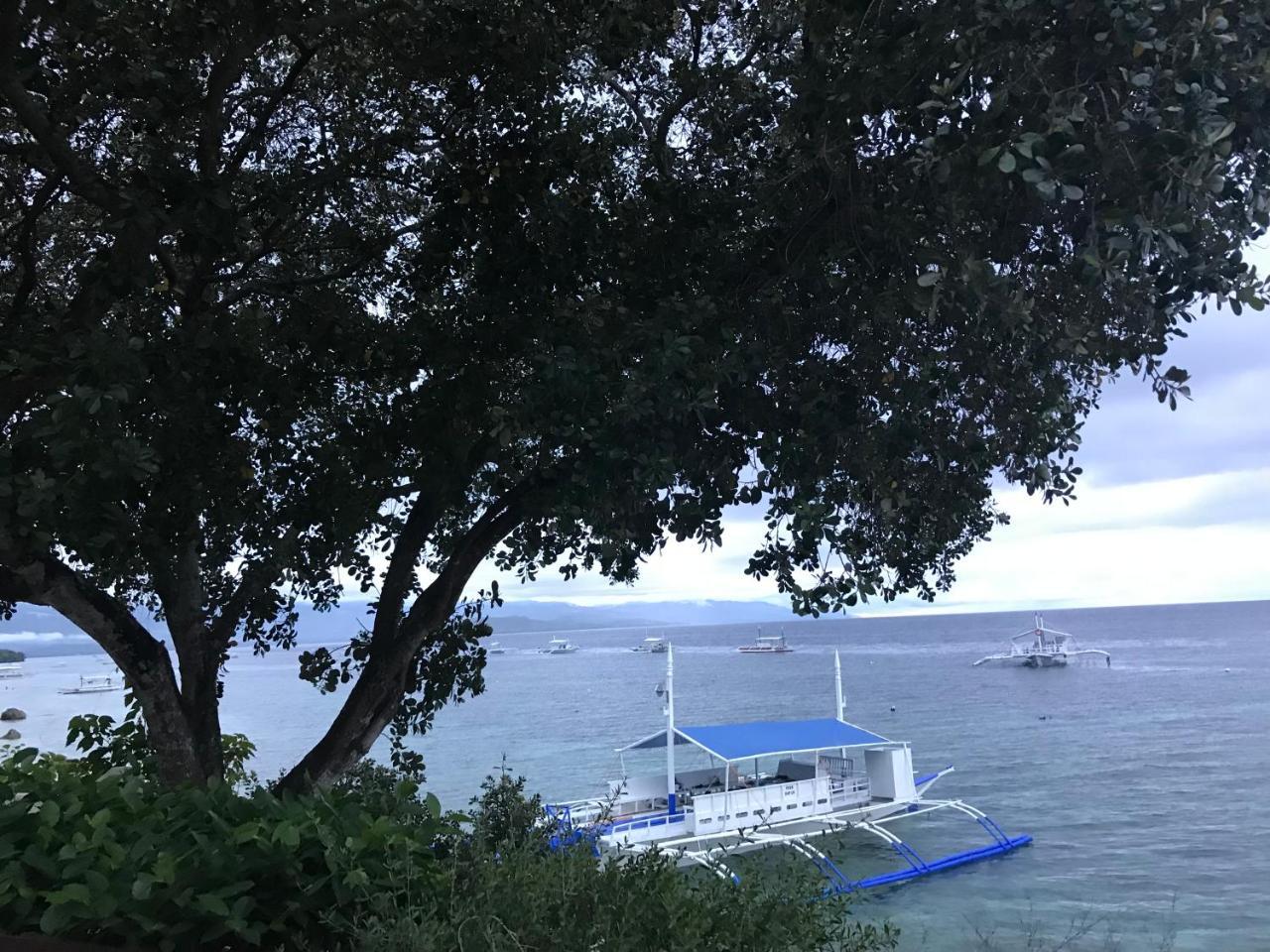 Pescador View - Beachfront & By The Ocean Hostels & Restaurant Moalboal *