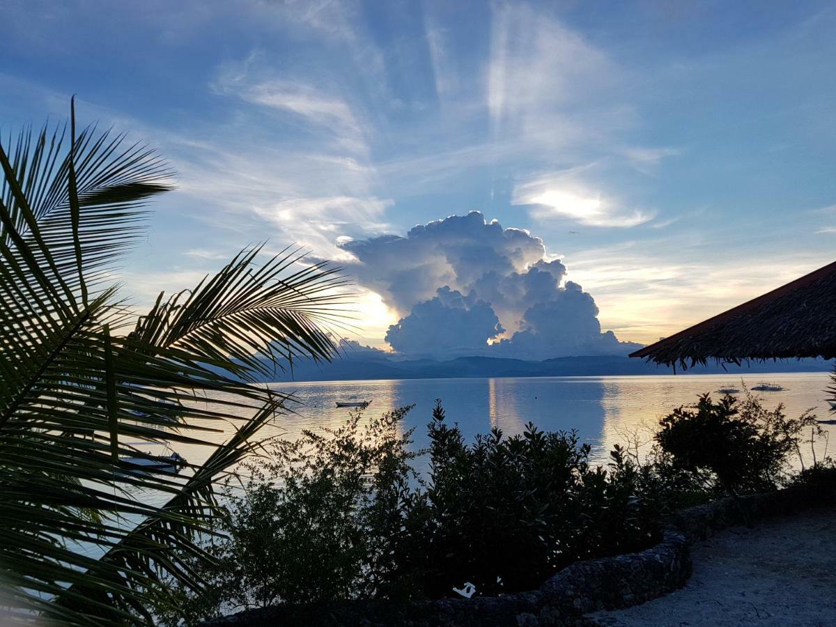 Resort Dolphin House Moalboal