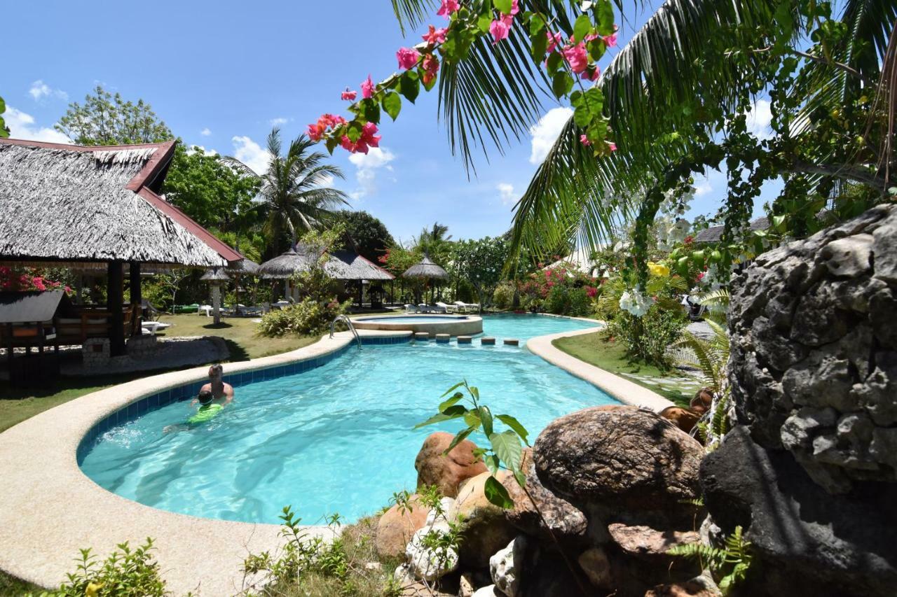 Dolphin House Resort