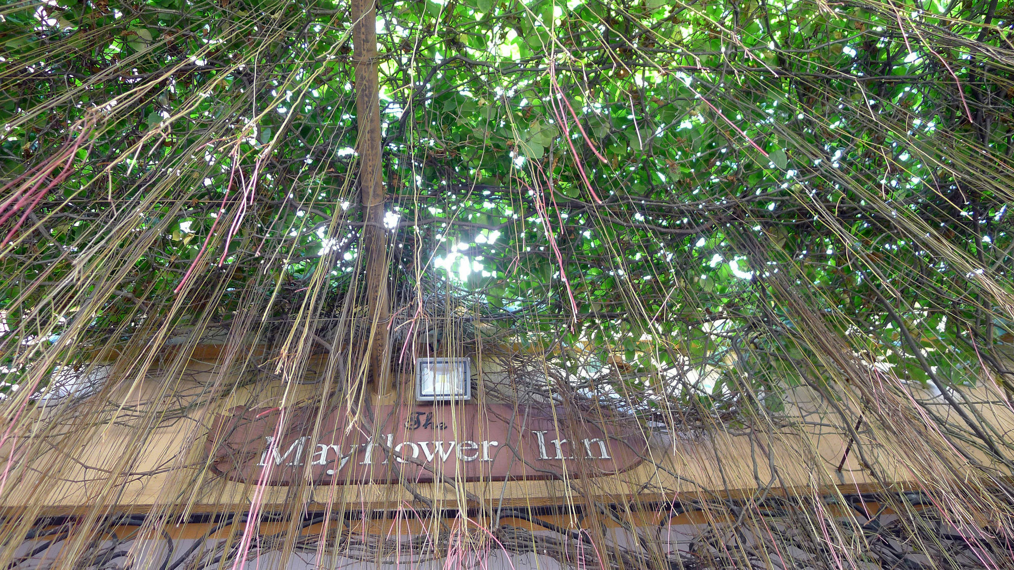 bahay-panuluyan The Mayflower Cebu