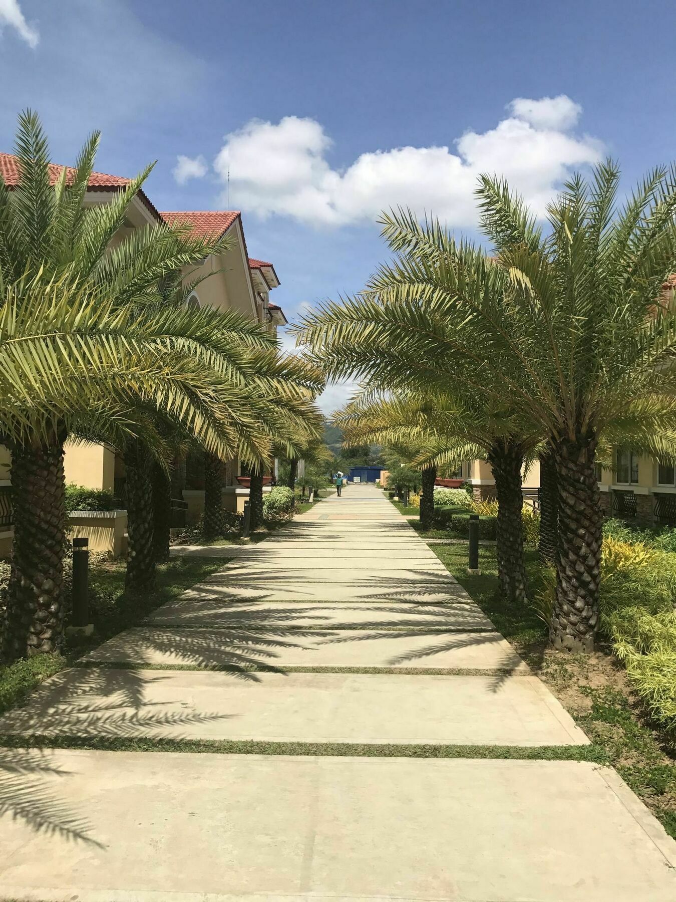 Apartment San Remo Oasis Serviced Cebu