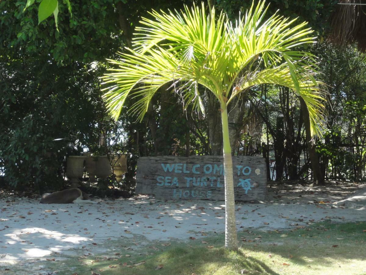 Guest house Sea Turtle House 3*